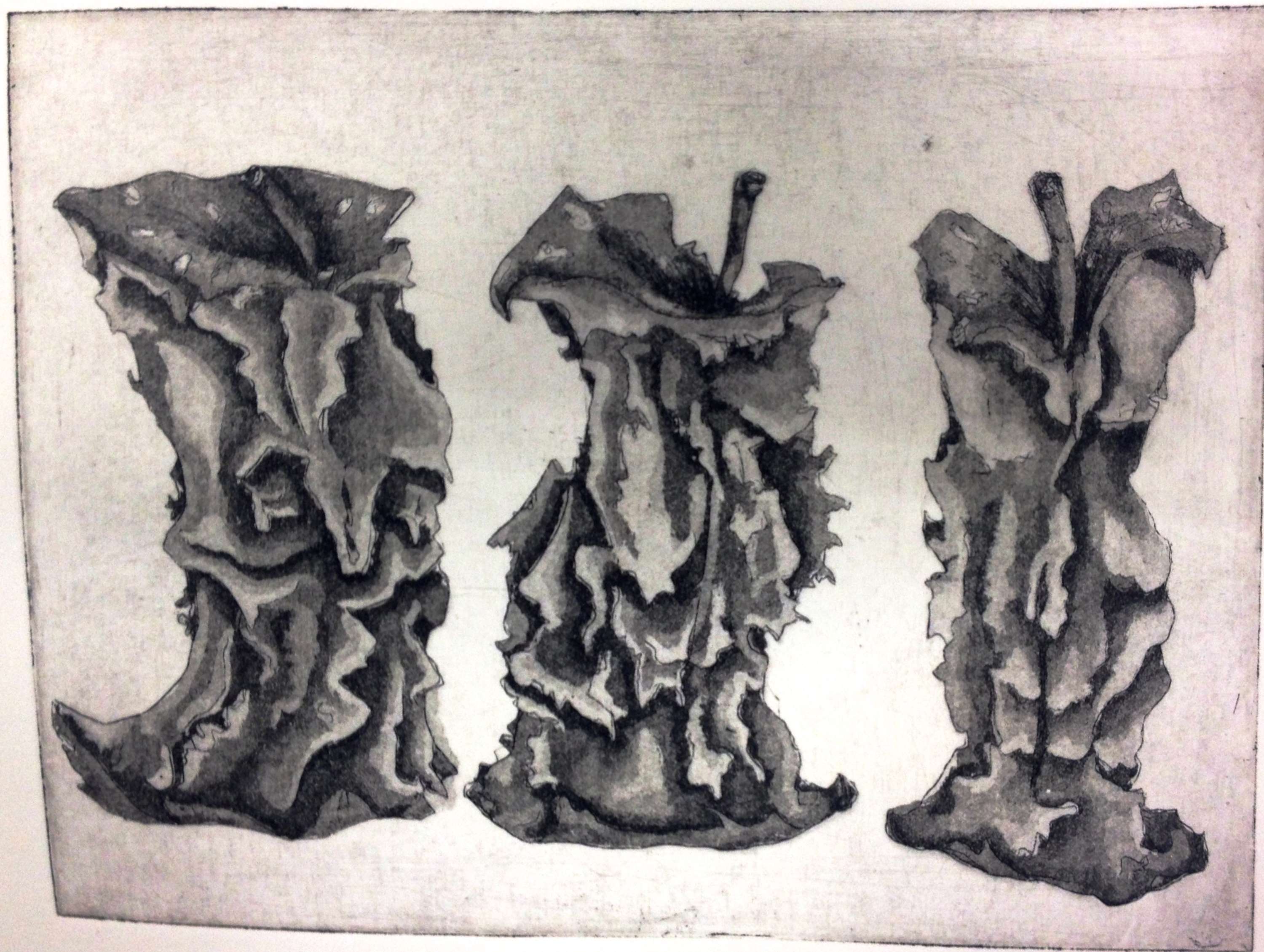 Apple Cores by Sara Buttanshaw