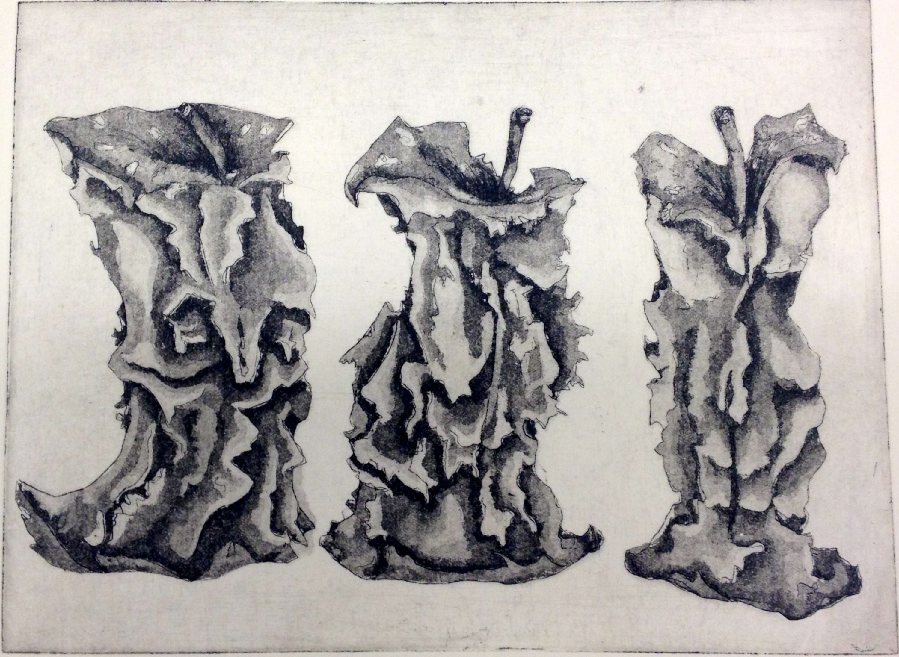 Apple Cores by Sara Buttanshaw