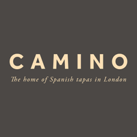 Camino Leisure Holdings logo