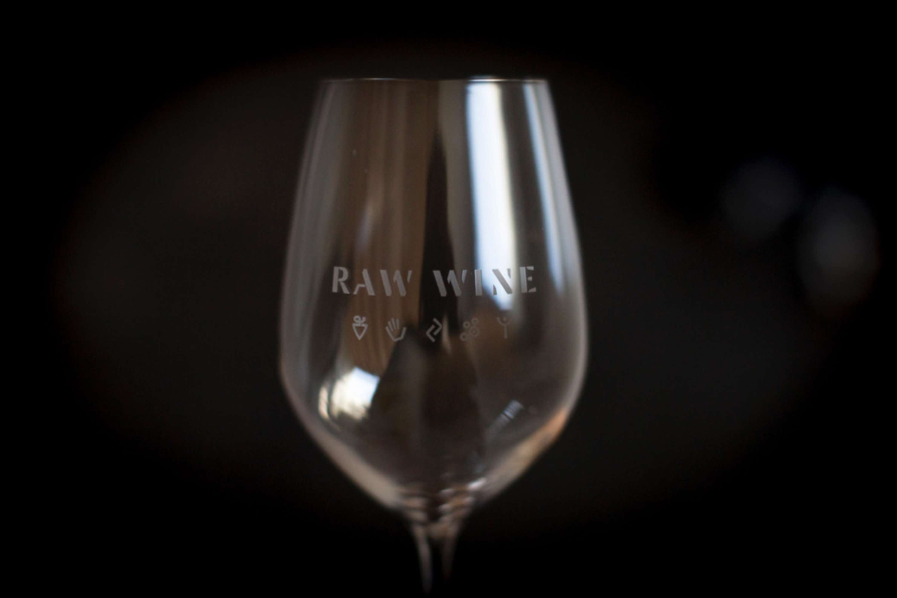 Raw Wine by Elizabeth Ellis