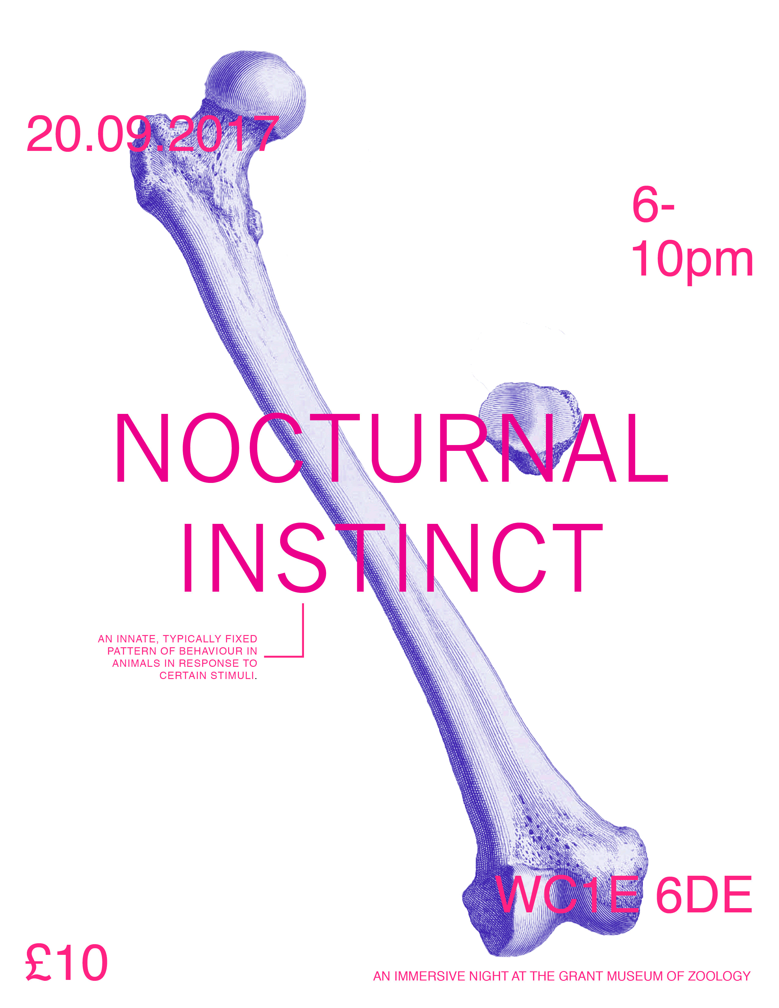 Nocturnal Instinct by Stephanie Badawi
