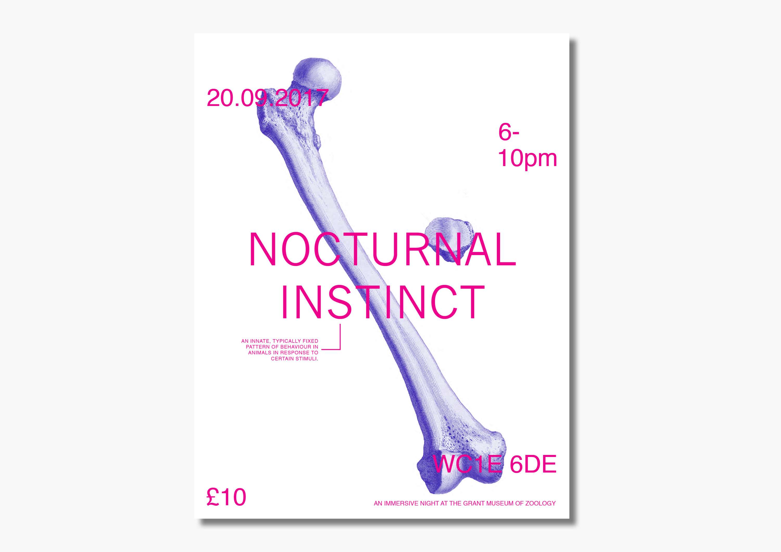 Nocturnal Instinct by Stephanie Badawi