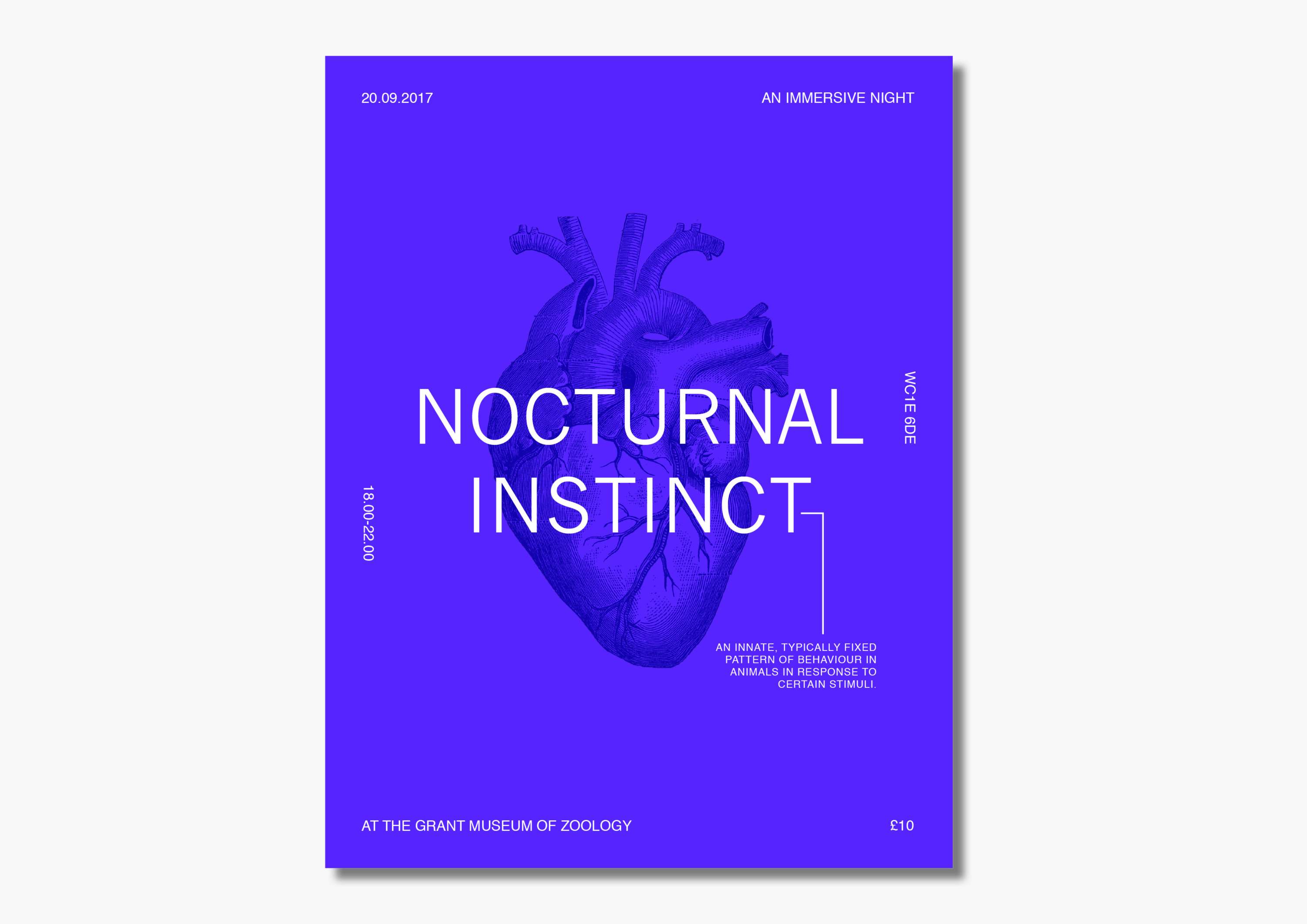 Nocturnal Instinct by Stephanie Badawi