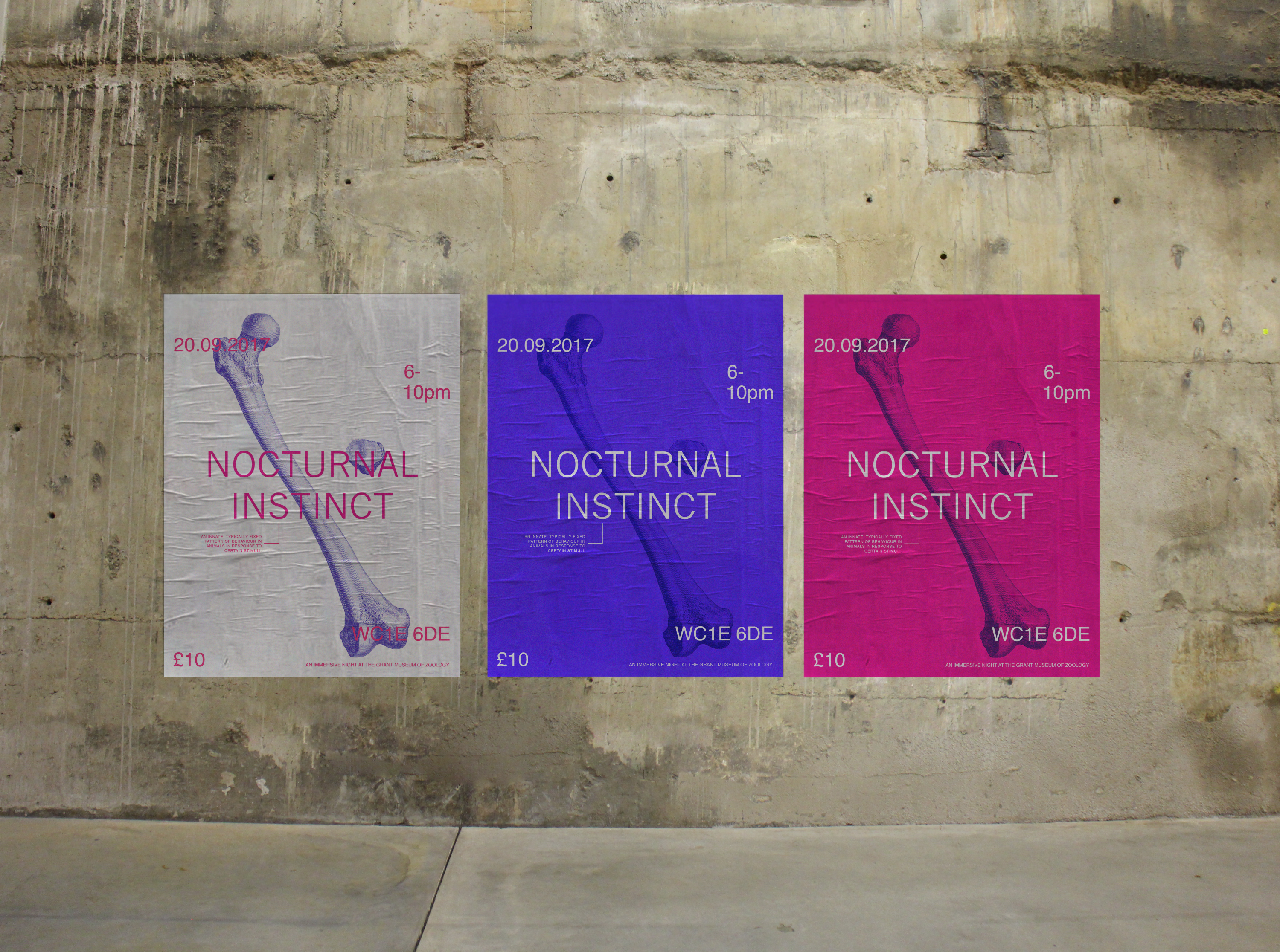 Nocturnal Instinct by Stephanie Badawi
