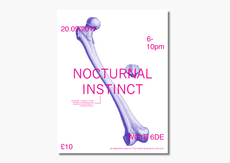 Nocturnal Instinct by Stephanie Badawi