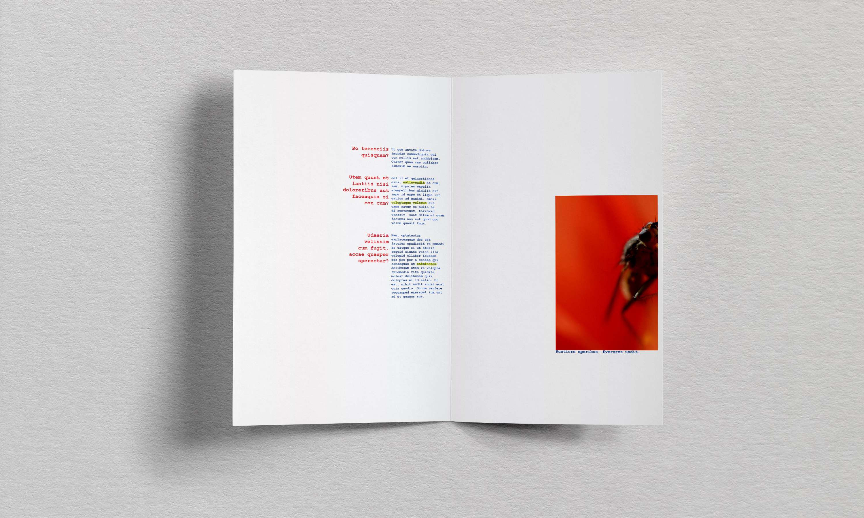 Colours Leaflet by Elle Blake