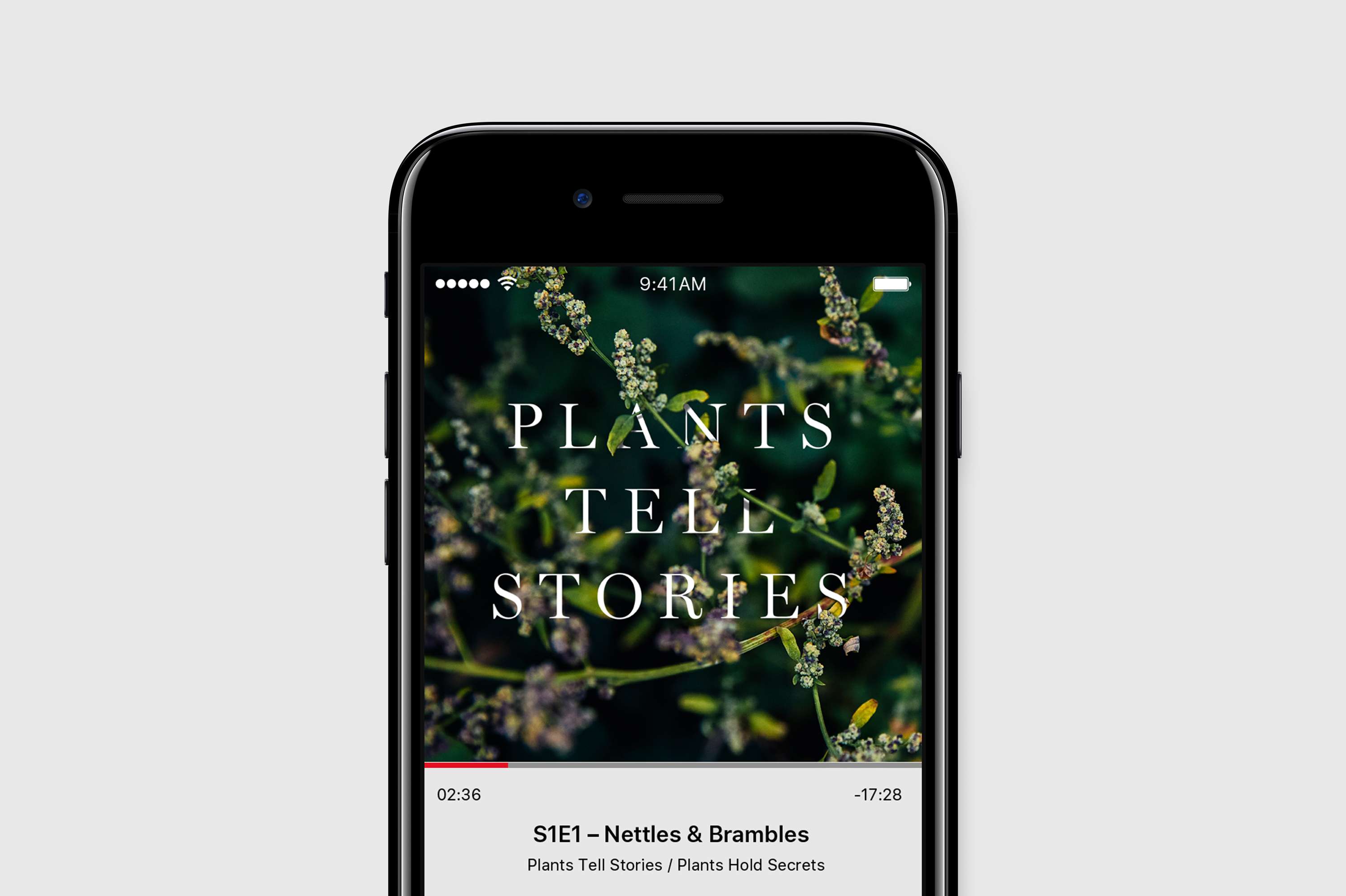 Mark Spencer — Forensic Botanist by Fieldwork Facility