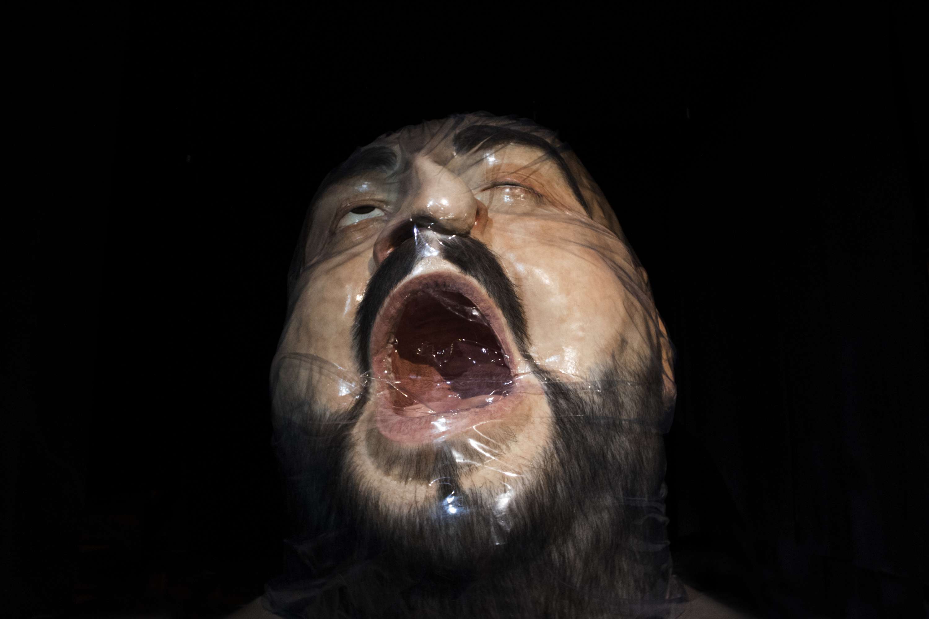 ASPHYXIA, 2017 by Zharko Basheski
