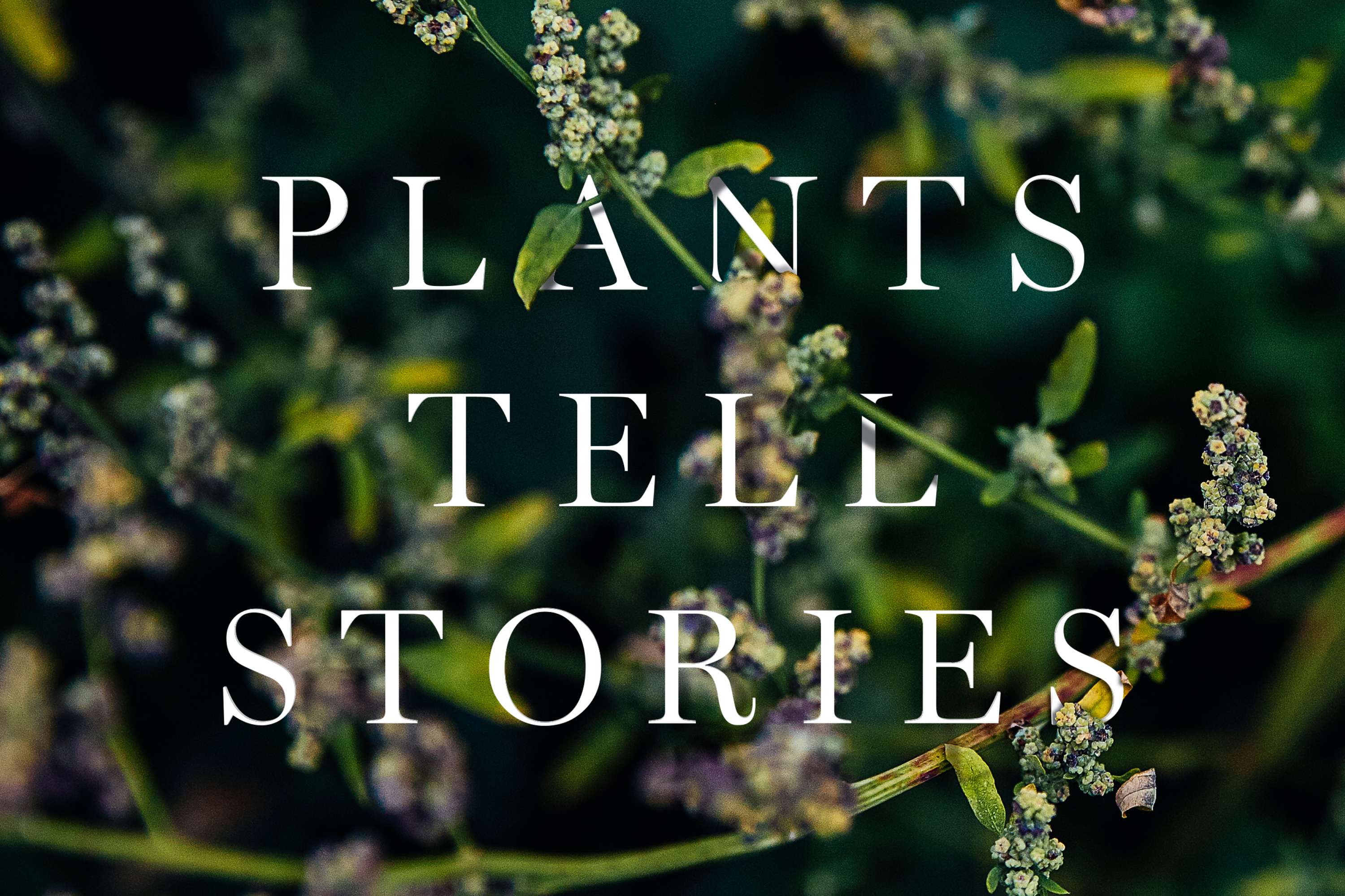 Mark Spencer — Forensic Botanist by Fieldwork Facility