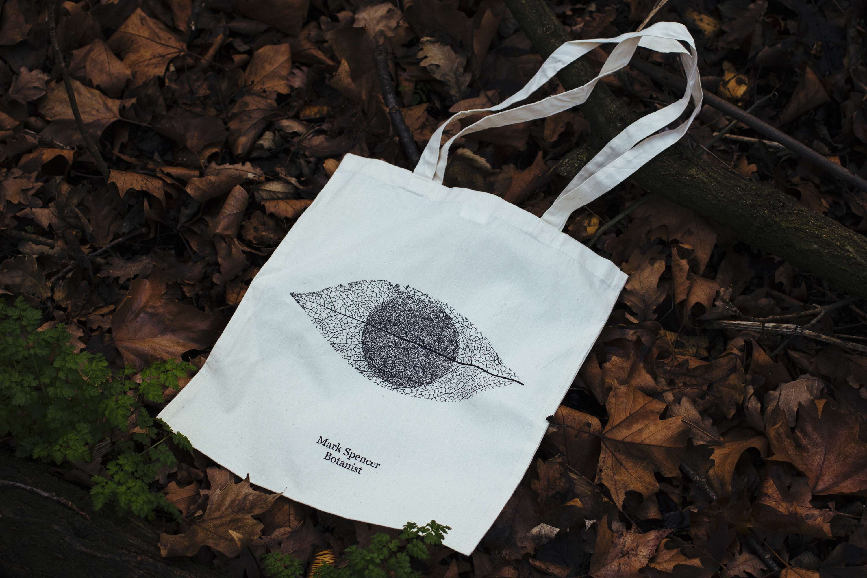 Mark Spencer — Forensic Botanist by Fieldwork Facility