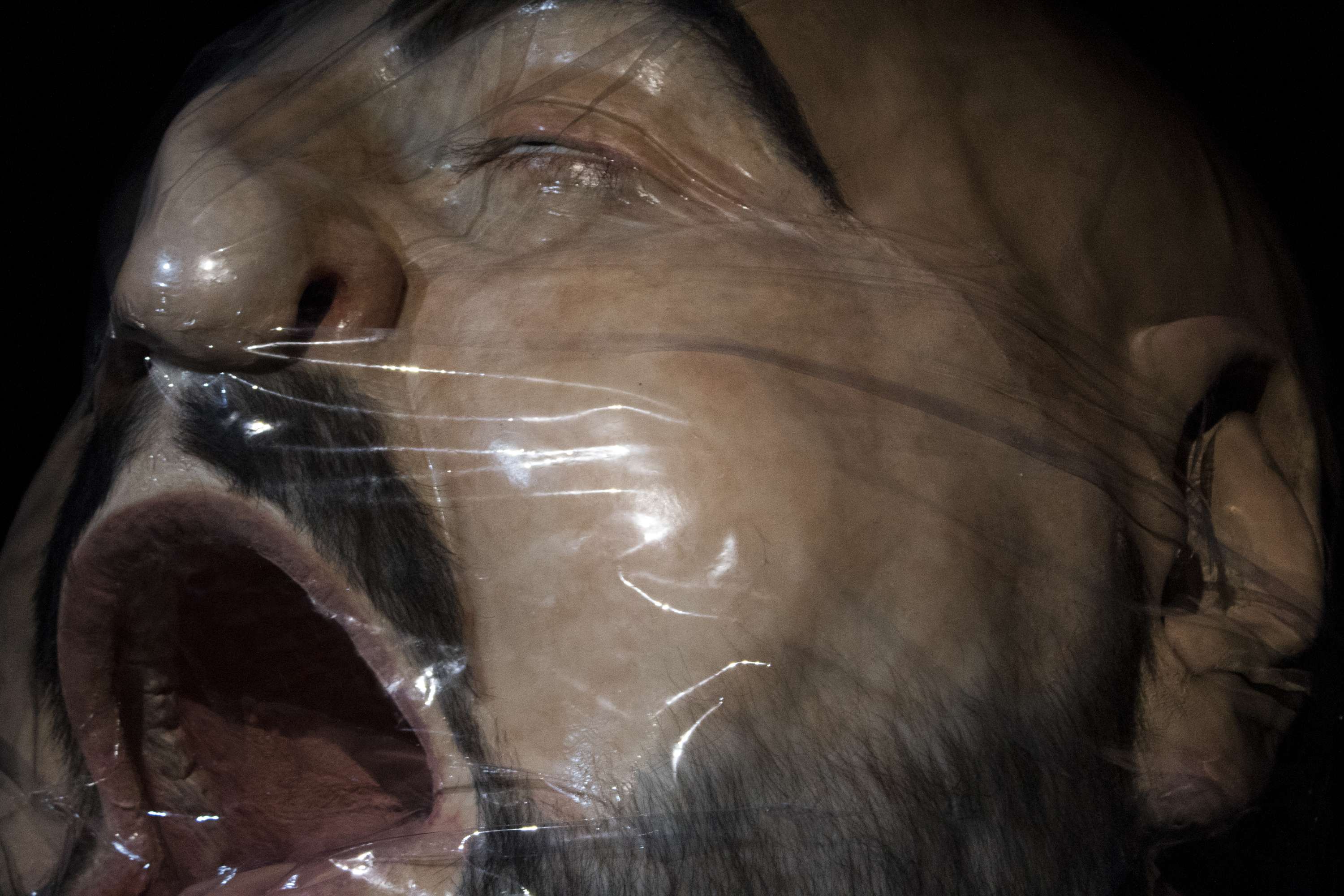 ASPHYXIA, 2017 by Zharko Basheski