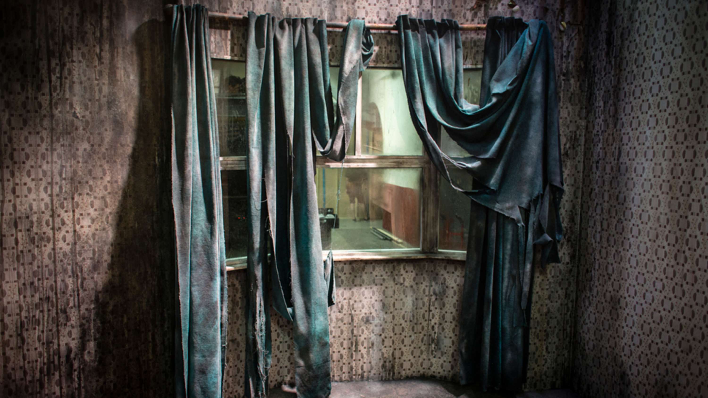 The Conjuring 2: Live Experience by Sally O'Callaghan