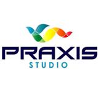 3dpraxisstudio.com logo