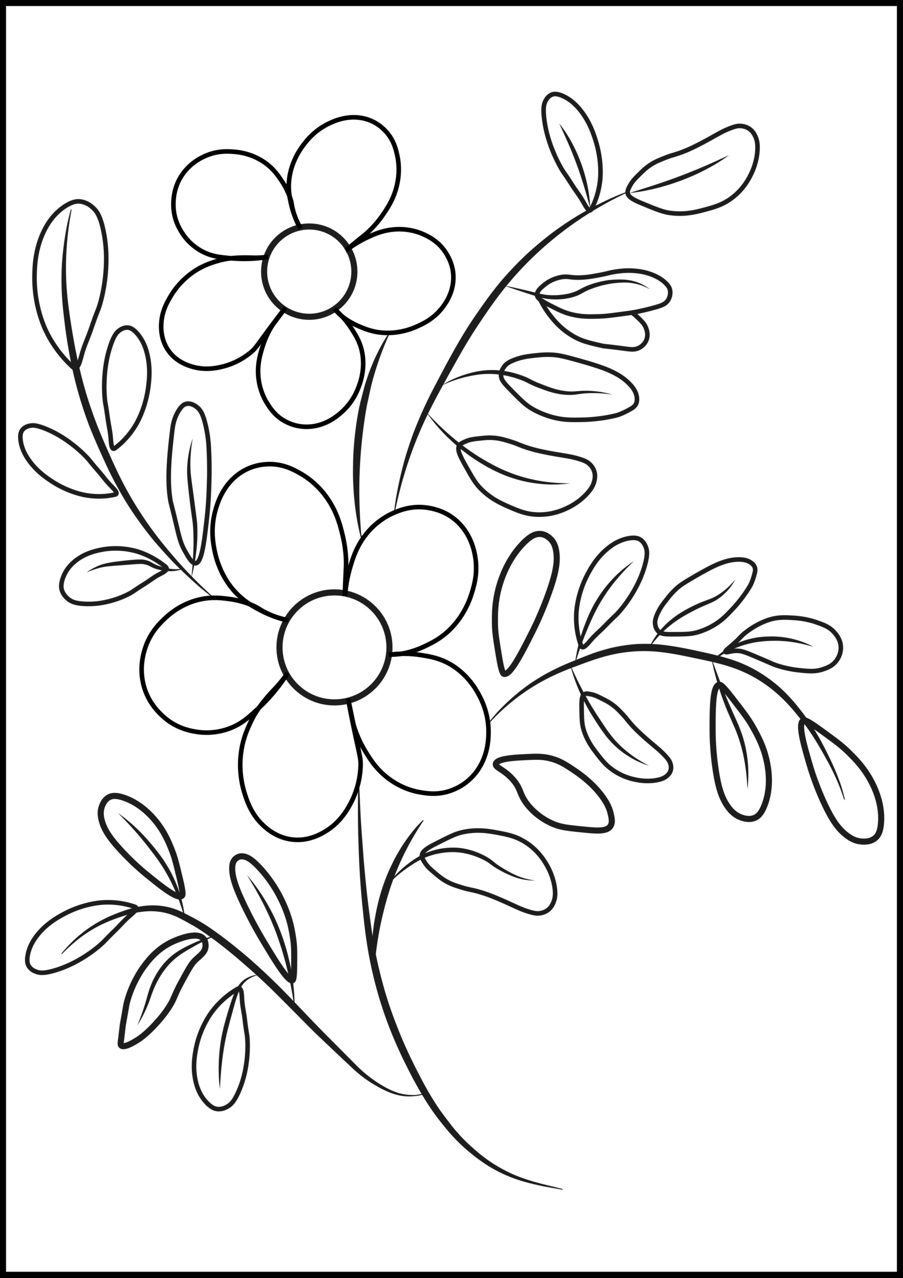Images Of Flowers Colouring | Best Flower Site