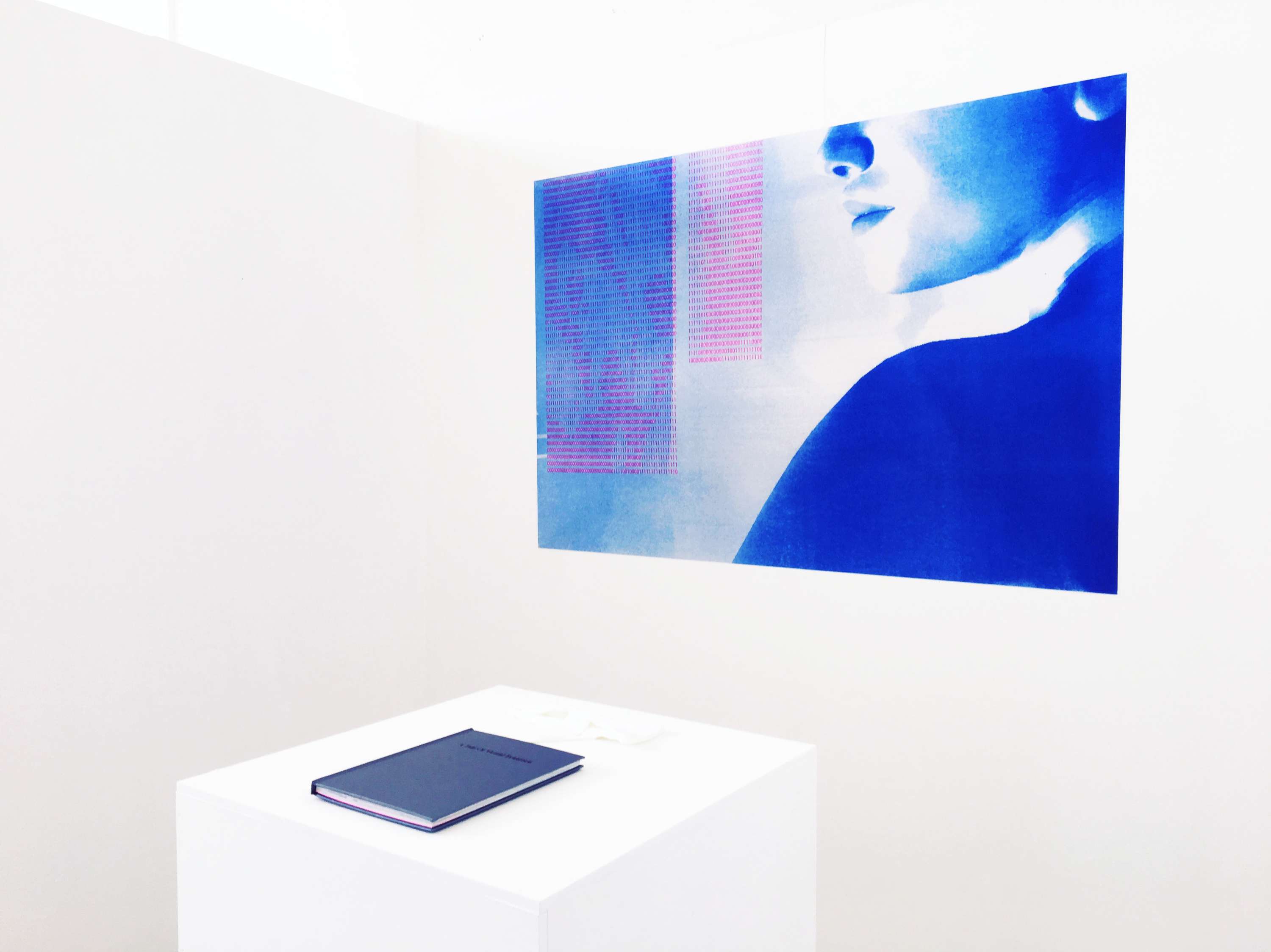 A Tale of Virtual Existence (2017) by Maria Cristina Pagani