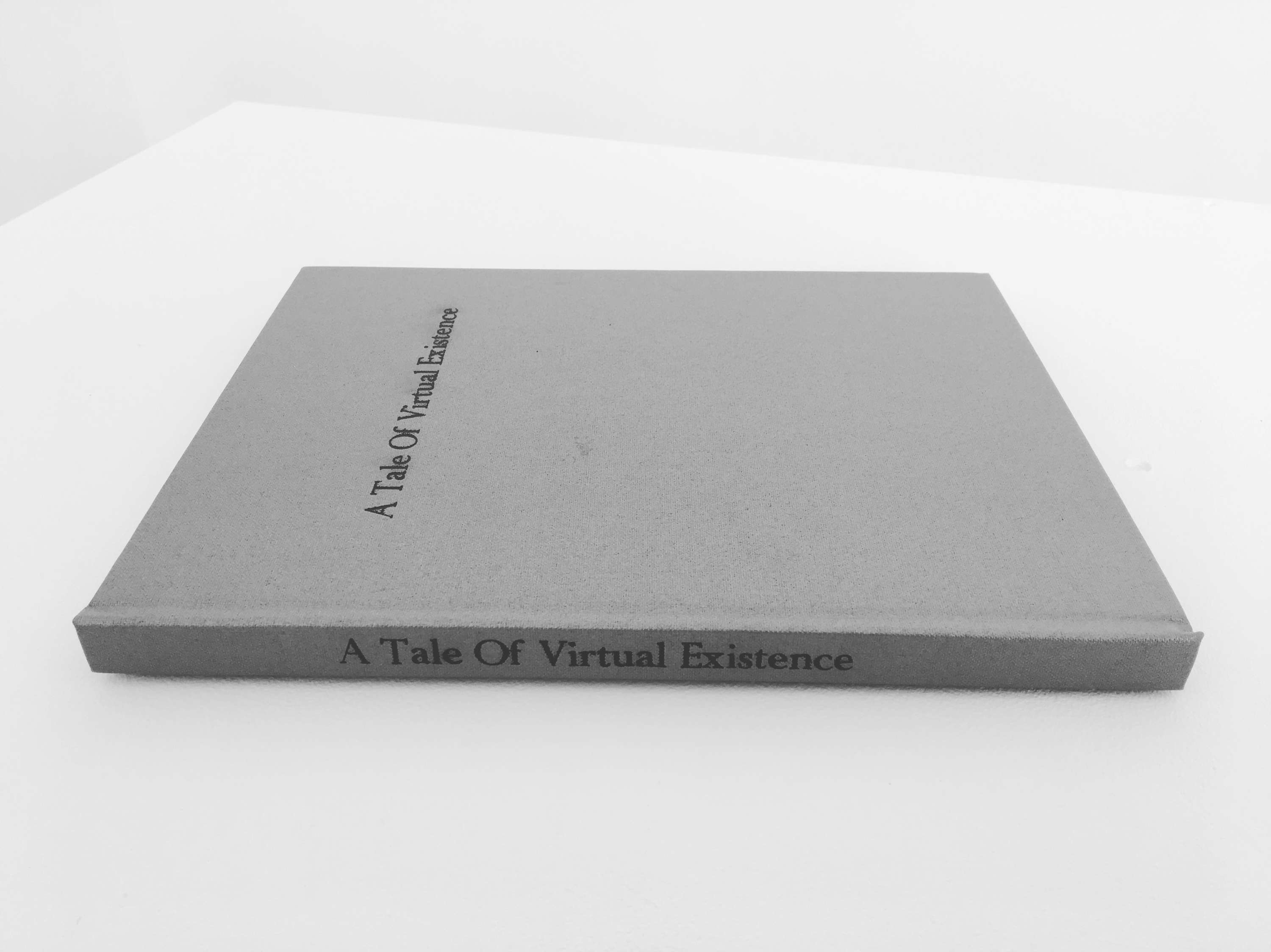A Tale of Virtual Existence (2017) by Maria Cristina Pagani