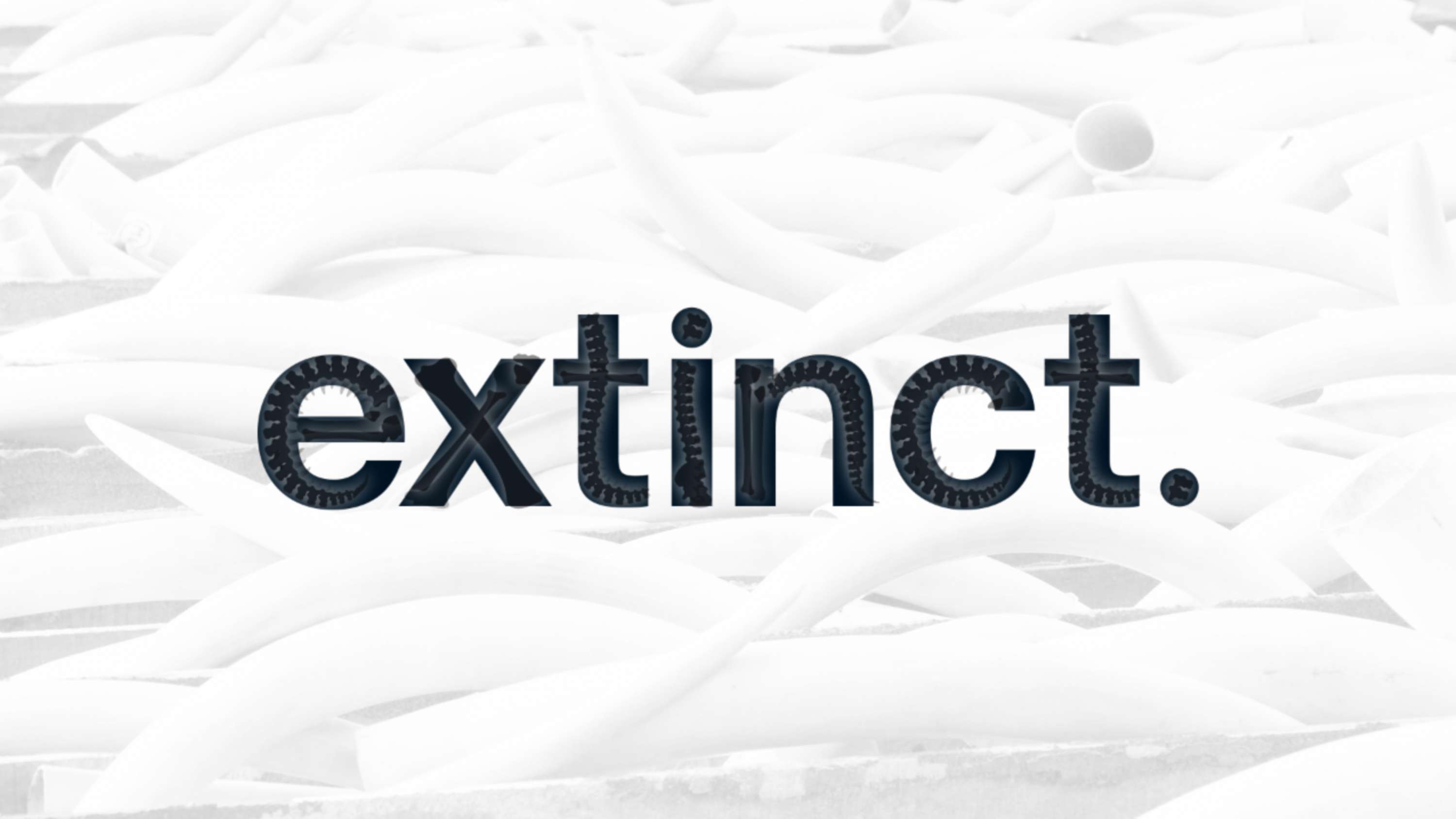 Extinct by Ashley Kitchin
