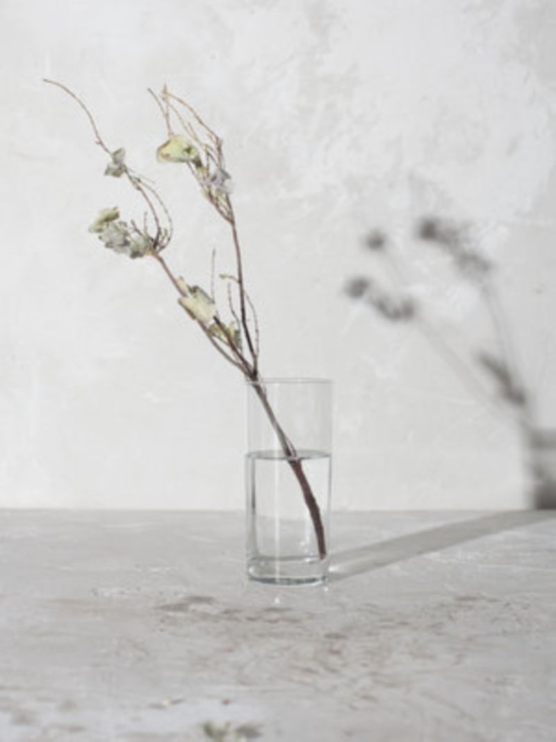 Still Life with Tasha Marshall by Ria Laskaris