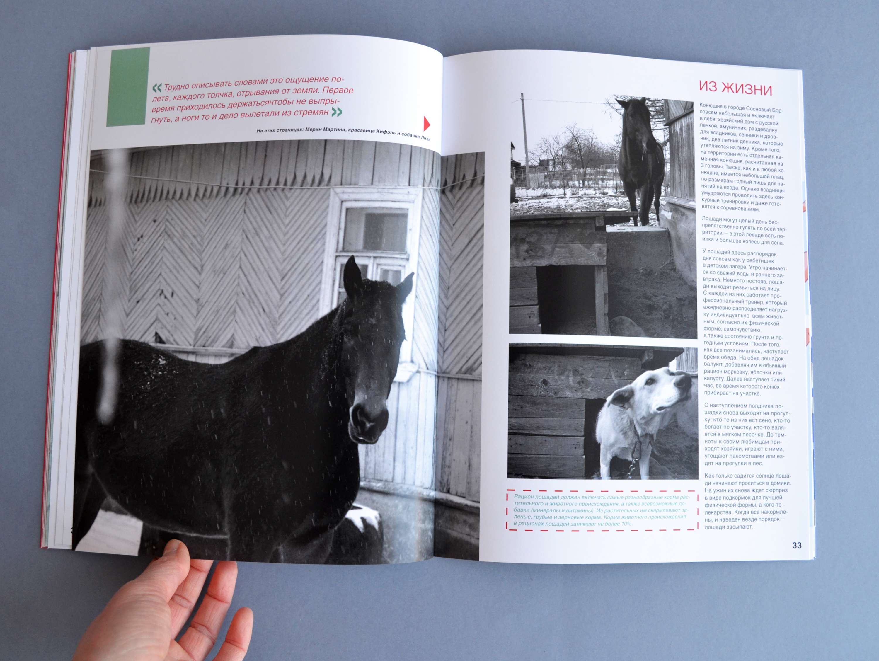 Magazine design by Kseniia Morozova