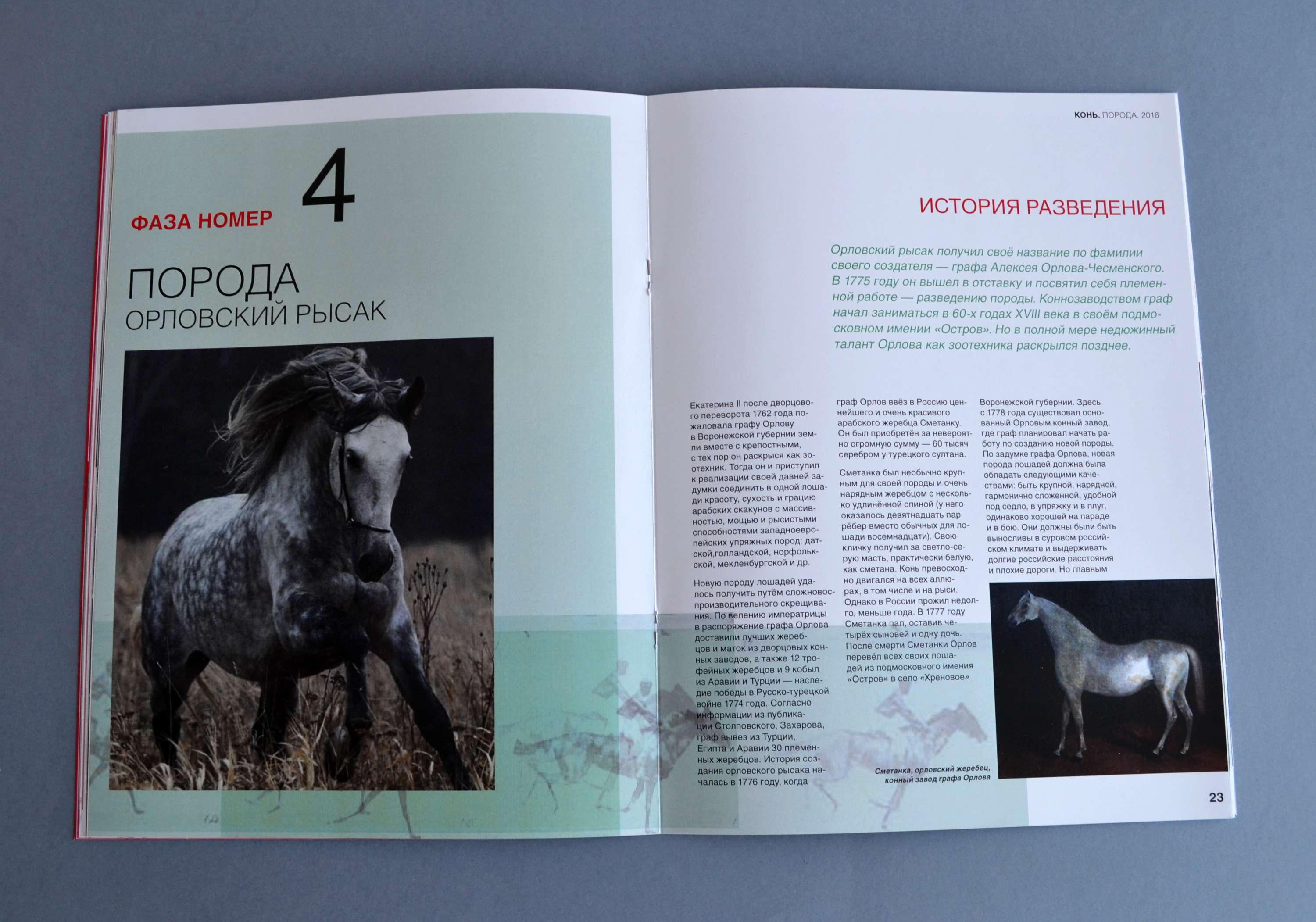 Magazine design by Kseniia Morozova
