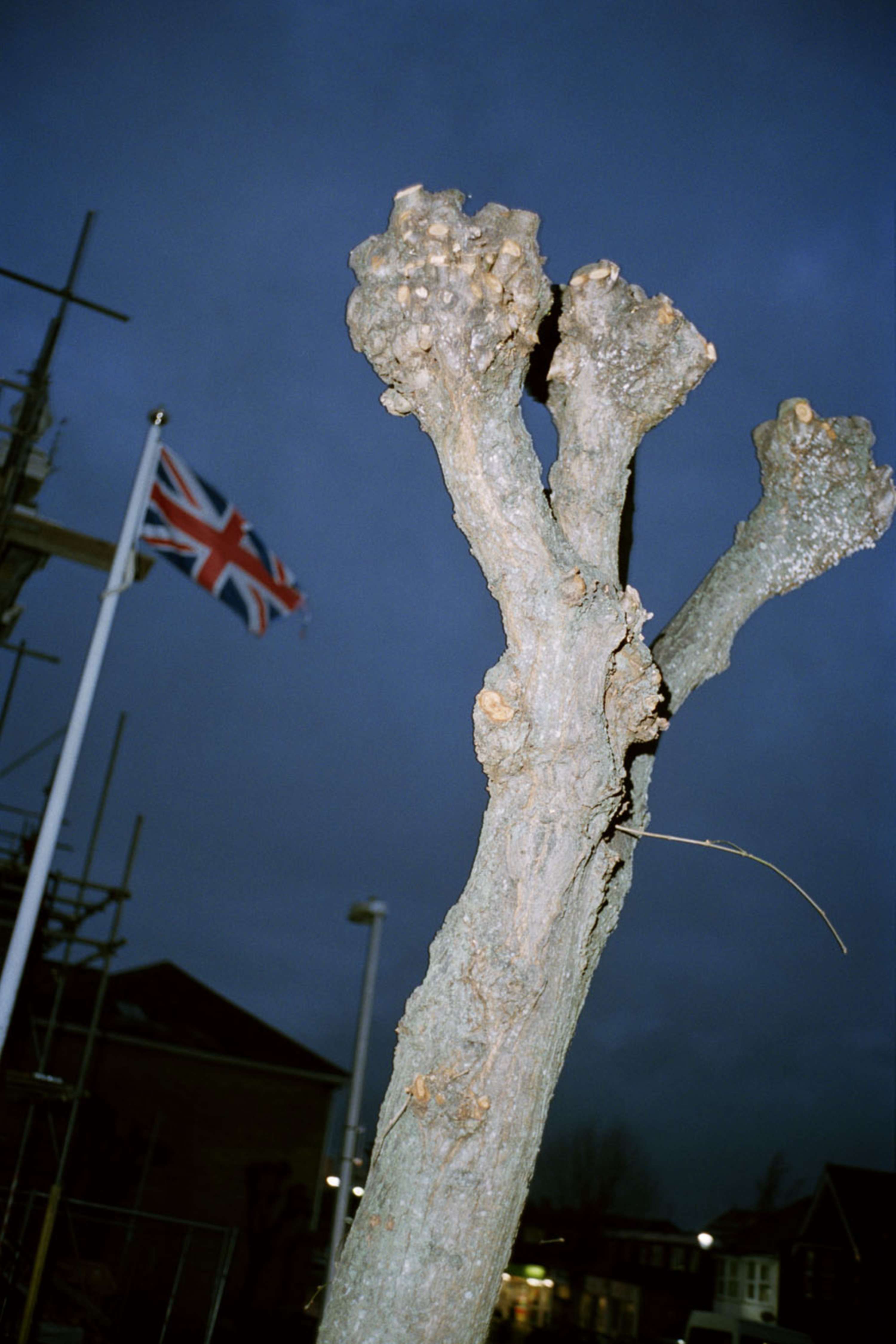 The Isle of Wight Analogy by Derek Man