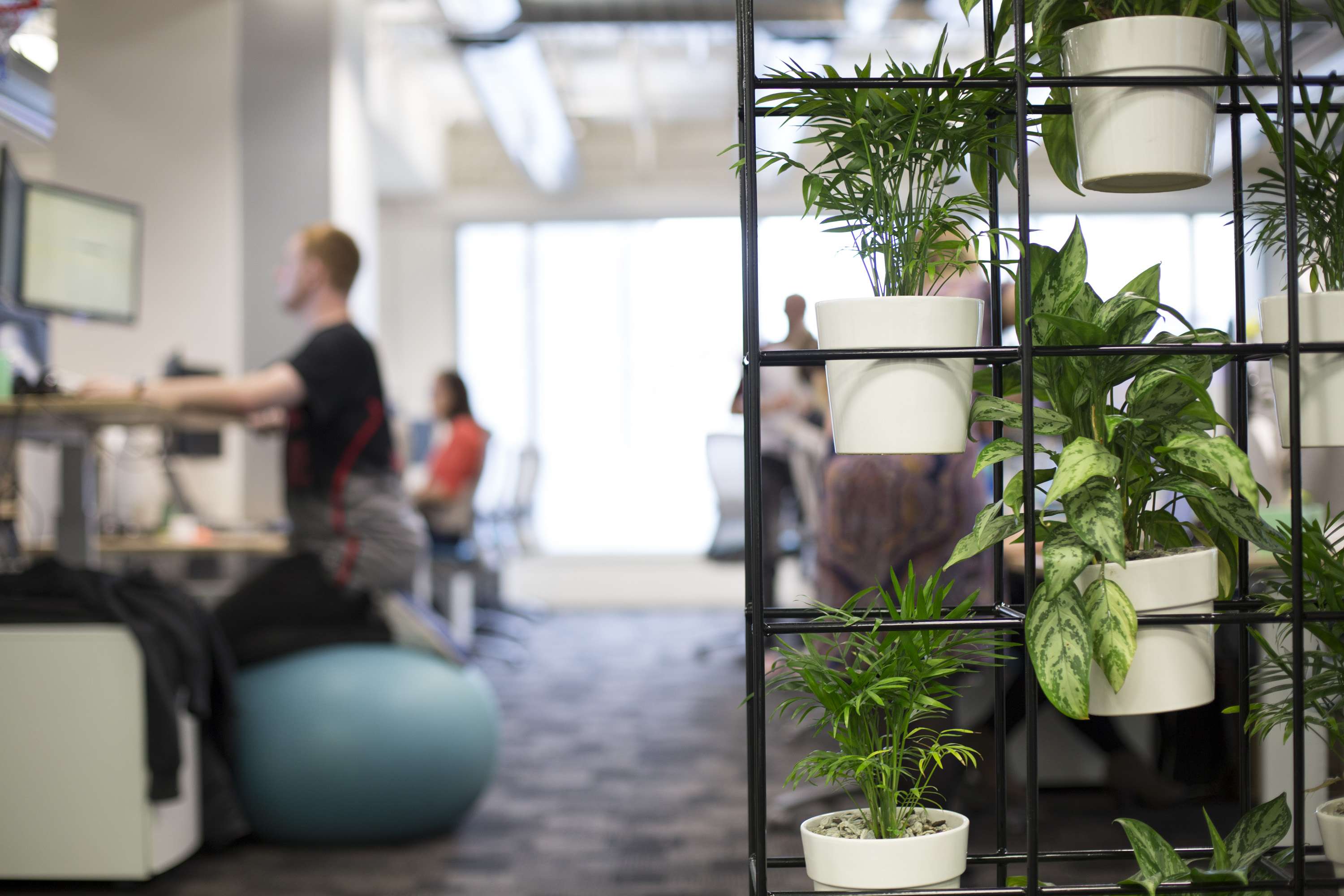 Going global | Xero by Xero