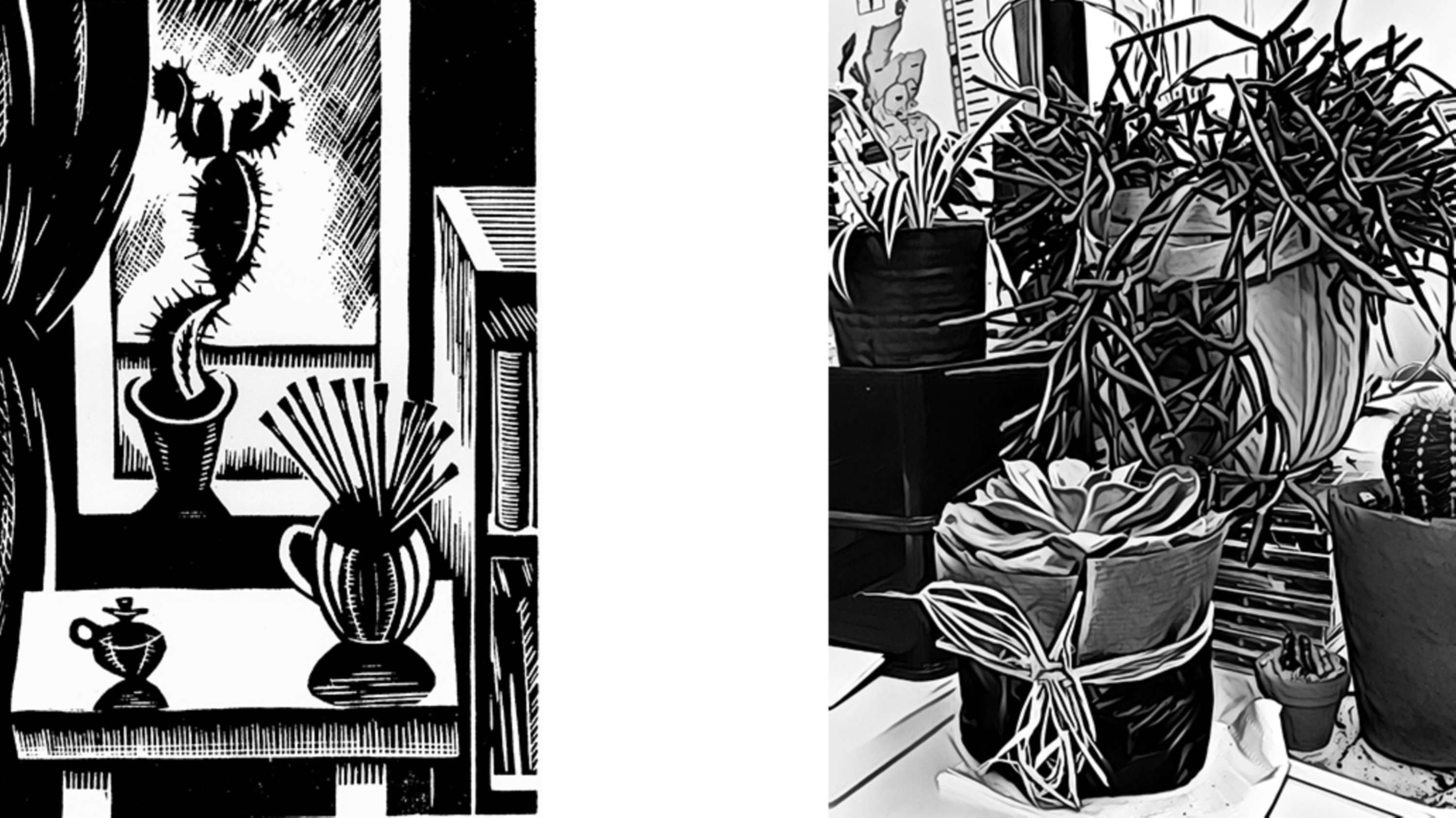 The modern still life - how to create an Instagram masterpiece by Art Fund