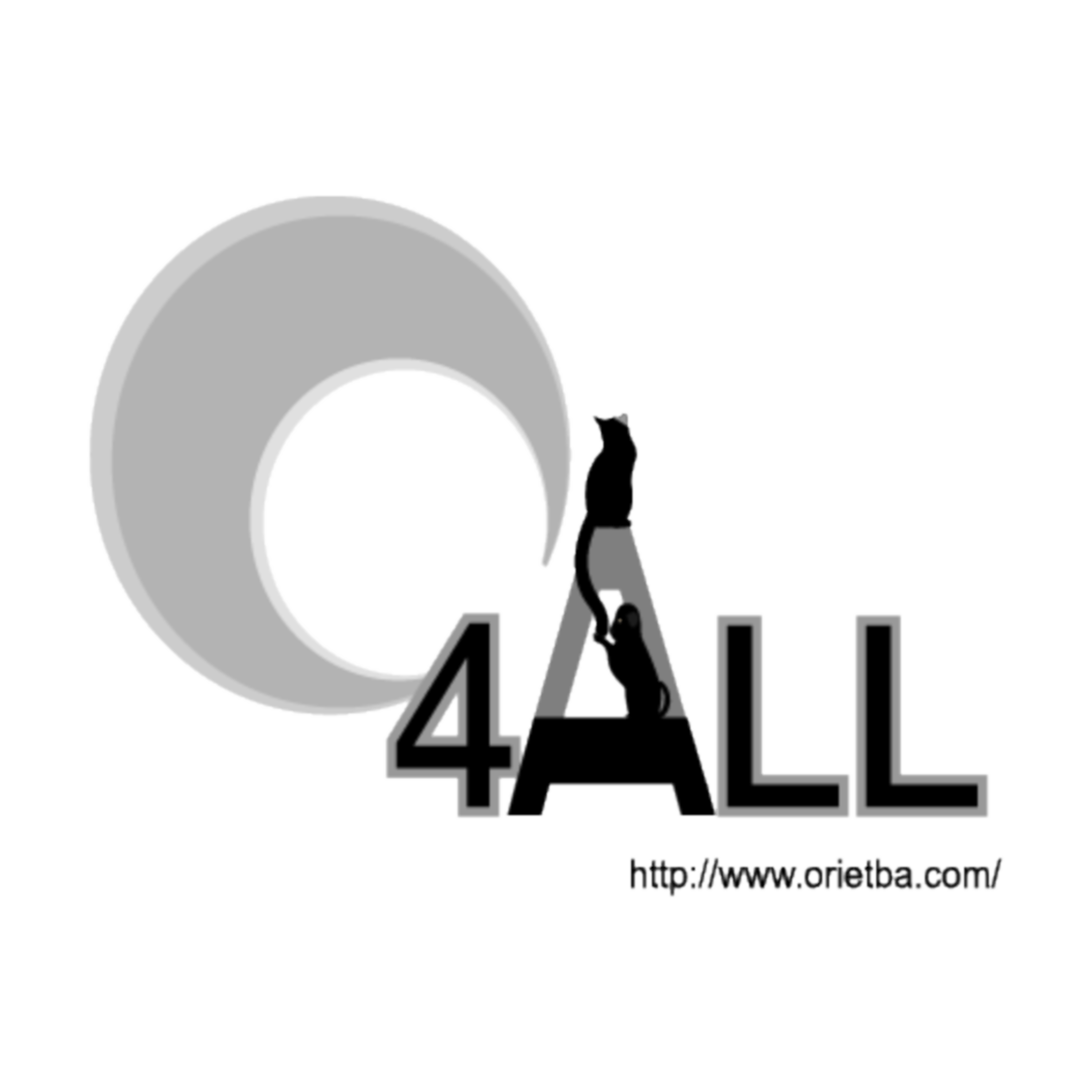 Designing for C4ALL  project by conceived owl