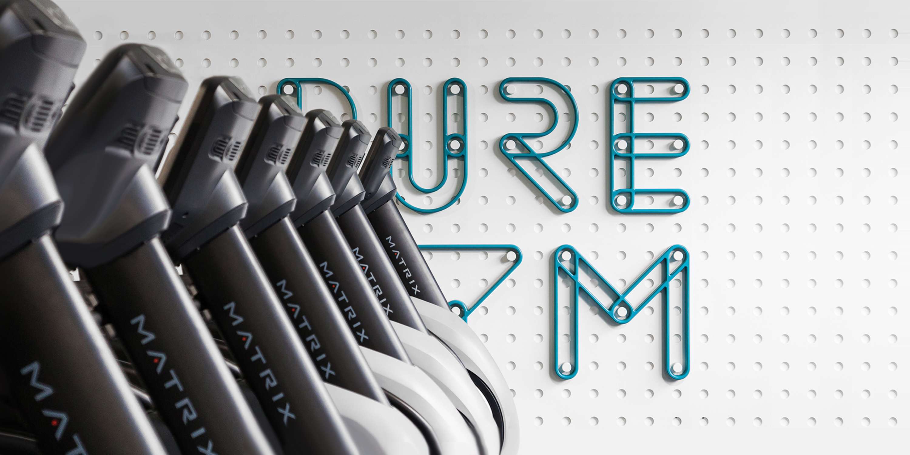 Pure Gym by Rich Holt