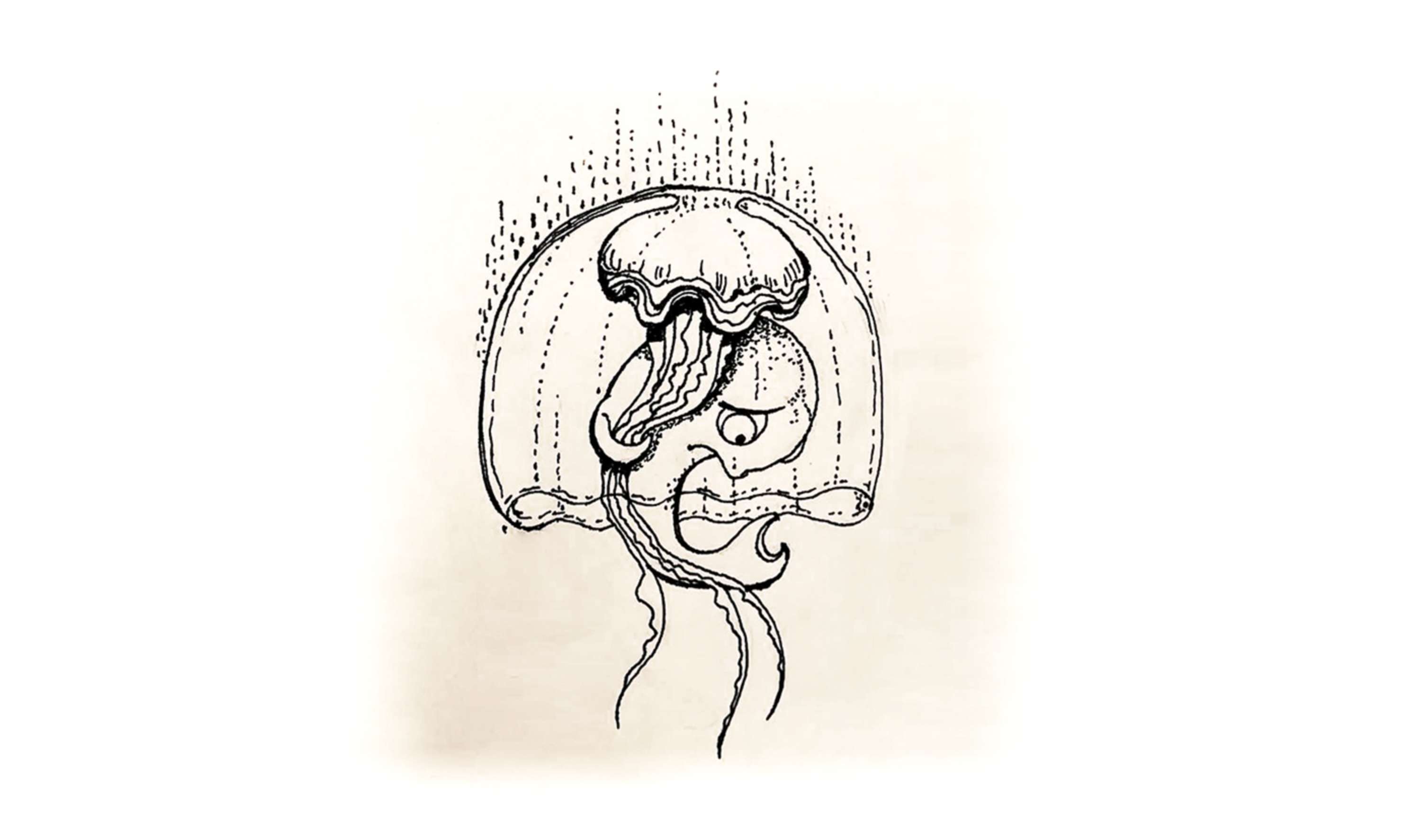 Inktober 2017 by Diana Stanciulescu