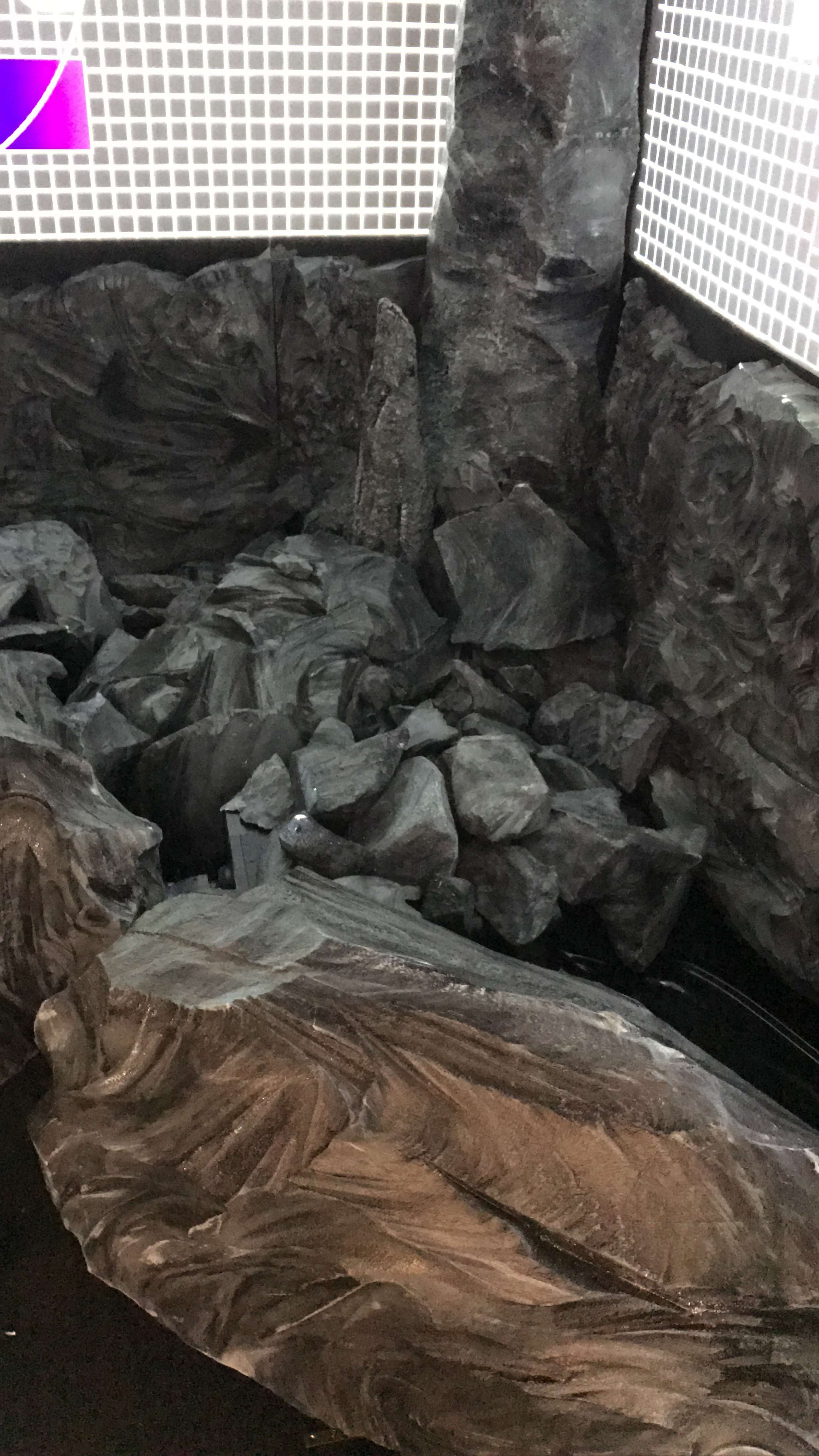 The projection cave by Paul Ward