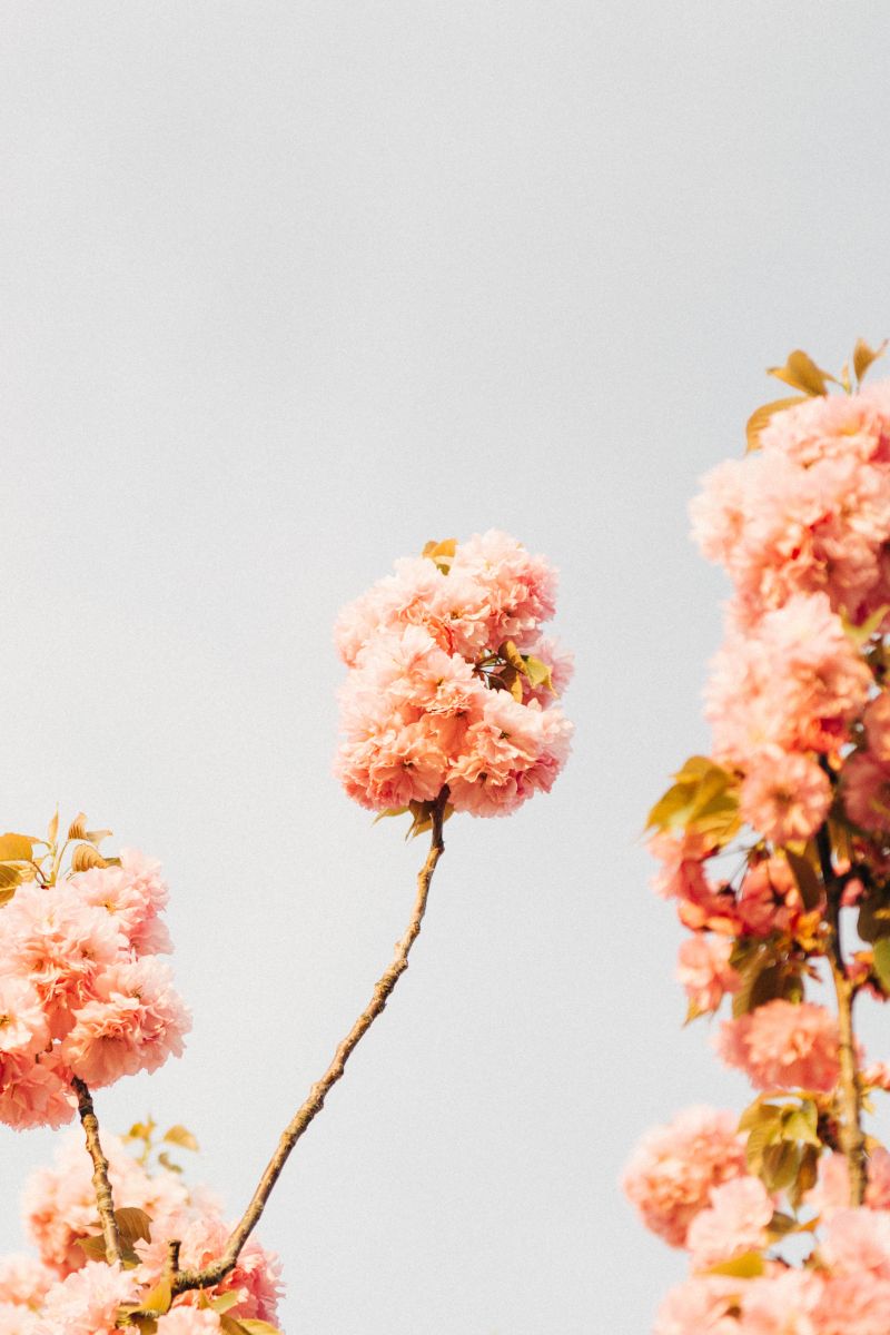 Method of Balance - content contribution by Lauren Bennett