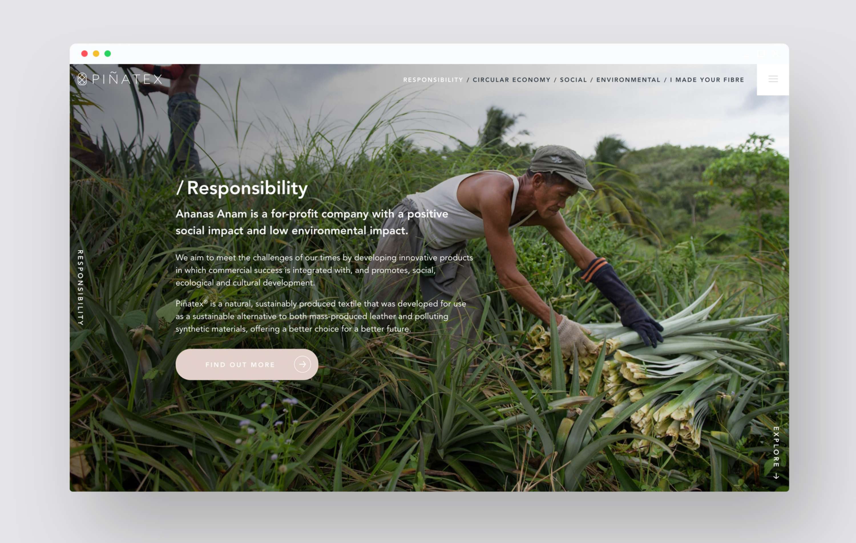 Piñatex website by Ben Jory