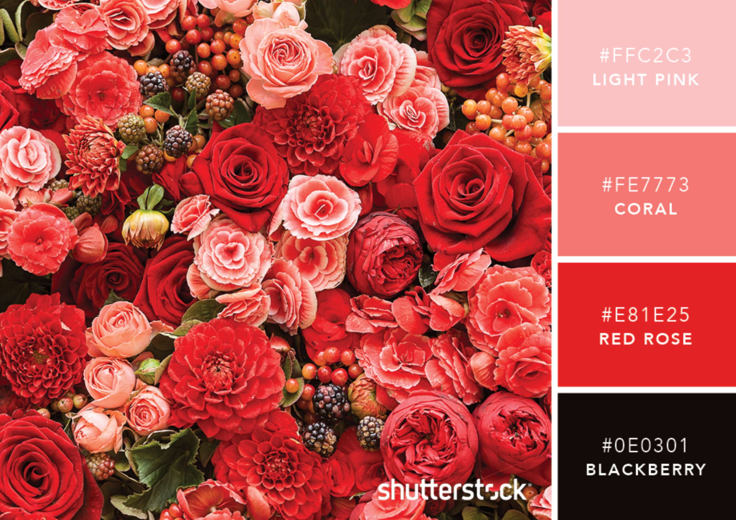 101 Brilliant Color Combinations