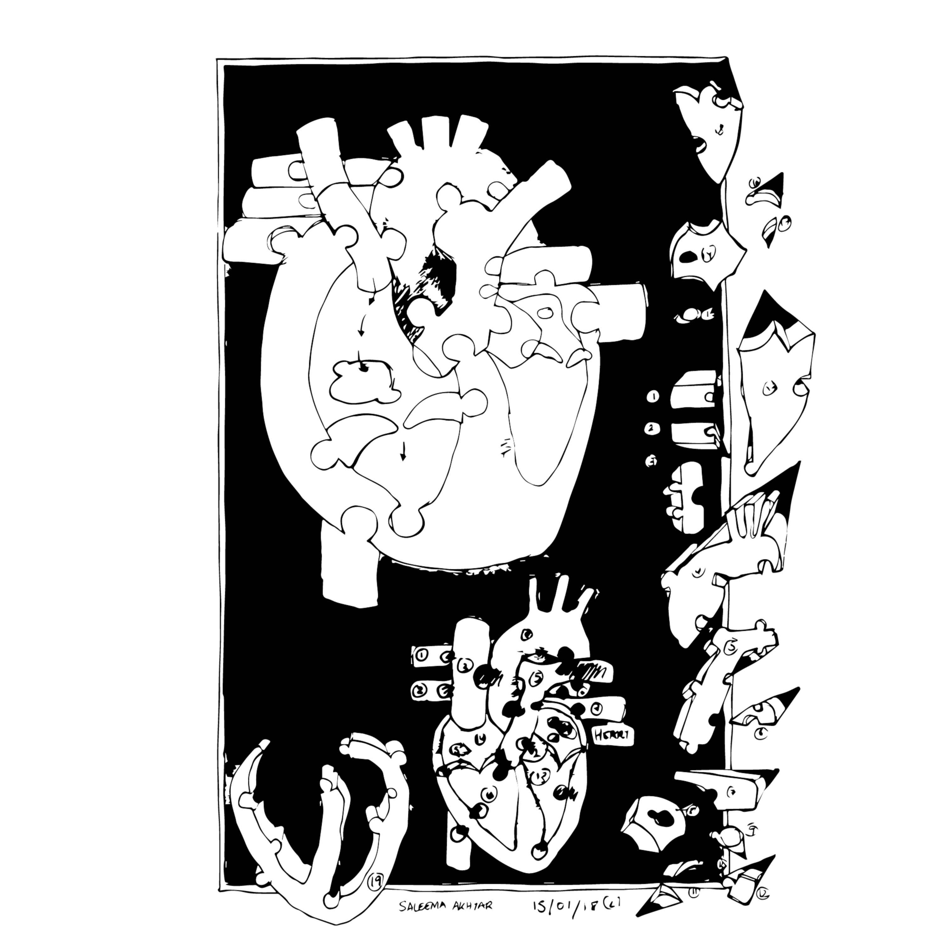 A Visual Journal by Saleema Akhtar