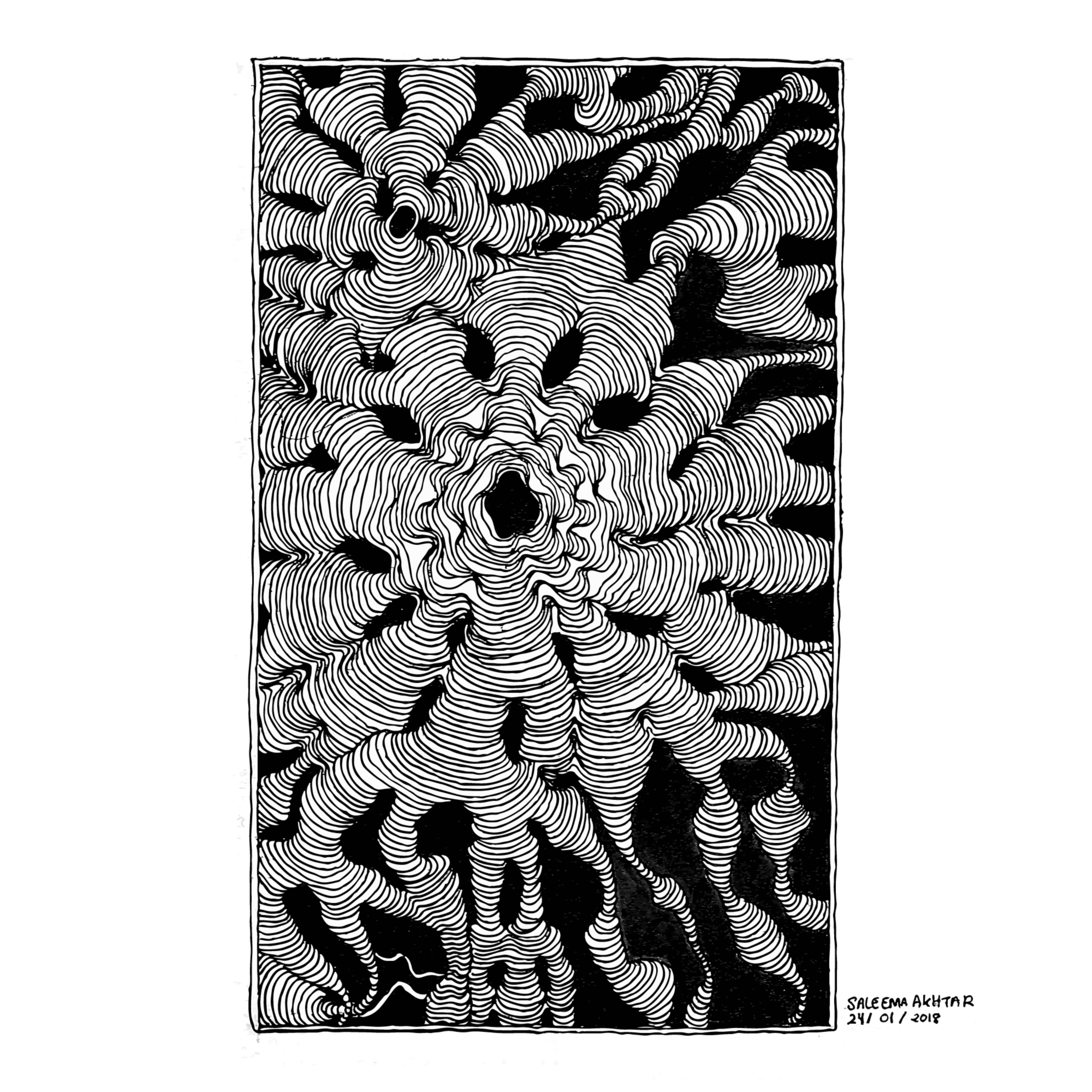 A Visual Journal by Saleema Akhtar