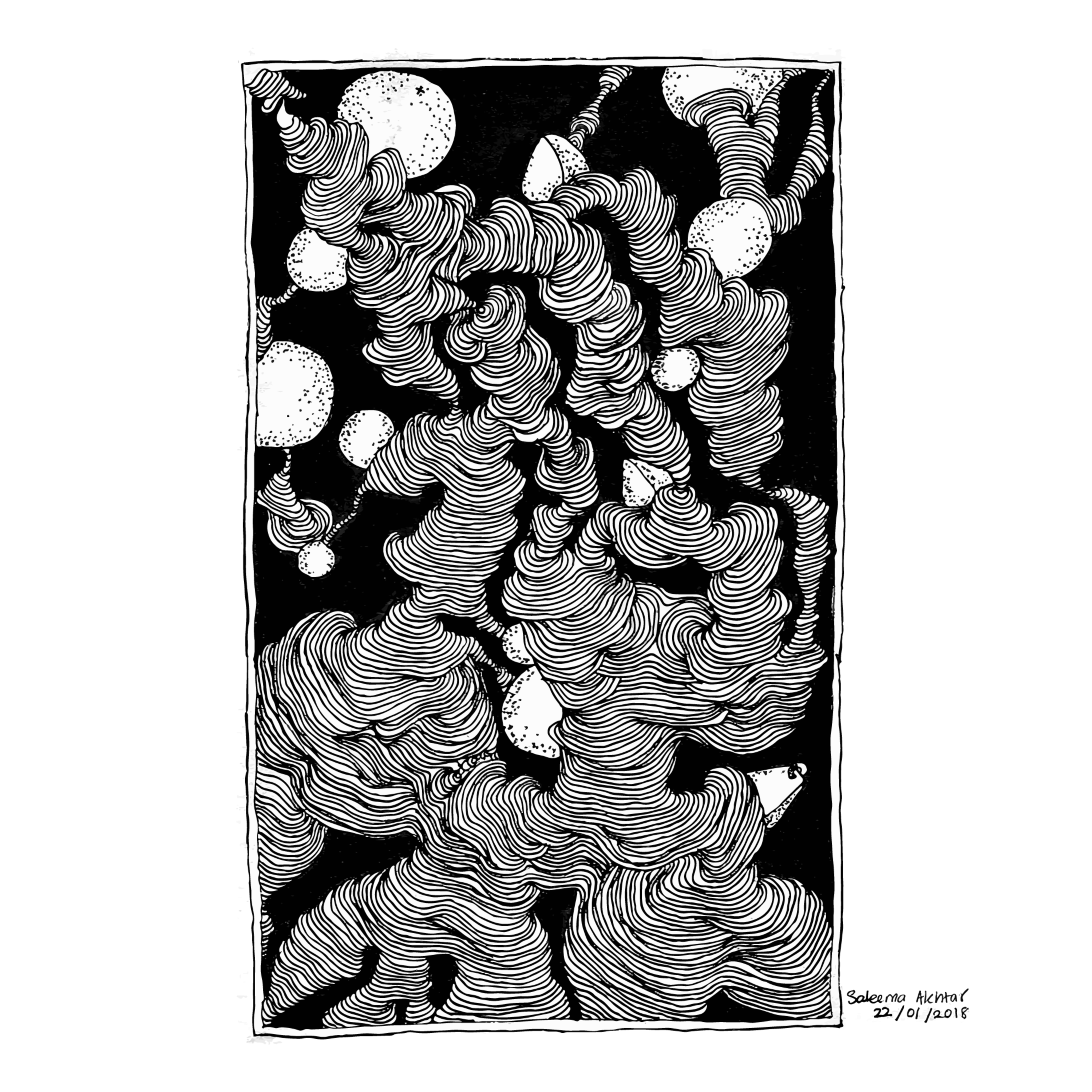 A Visual Journal by Saleema Akhtar