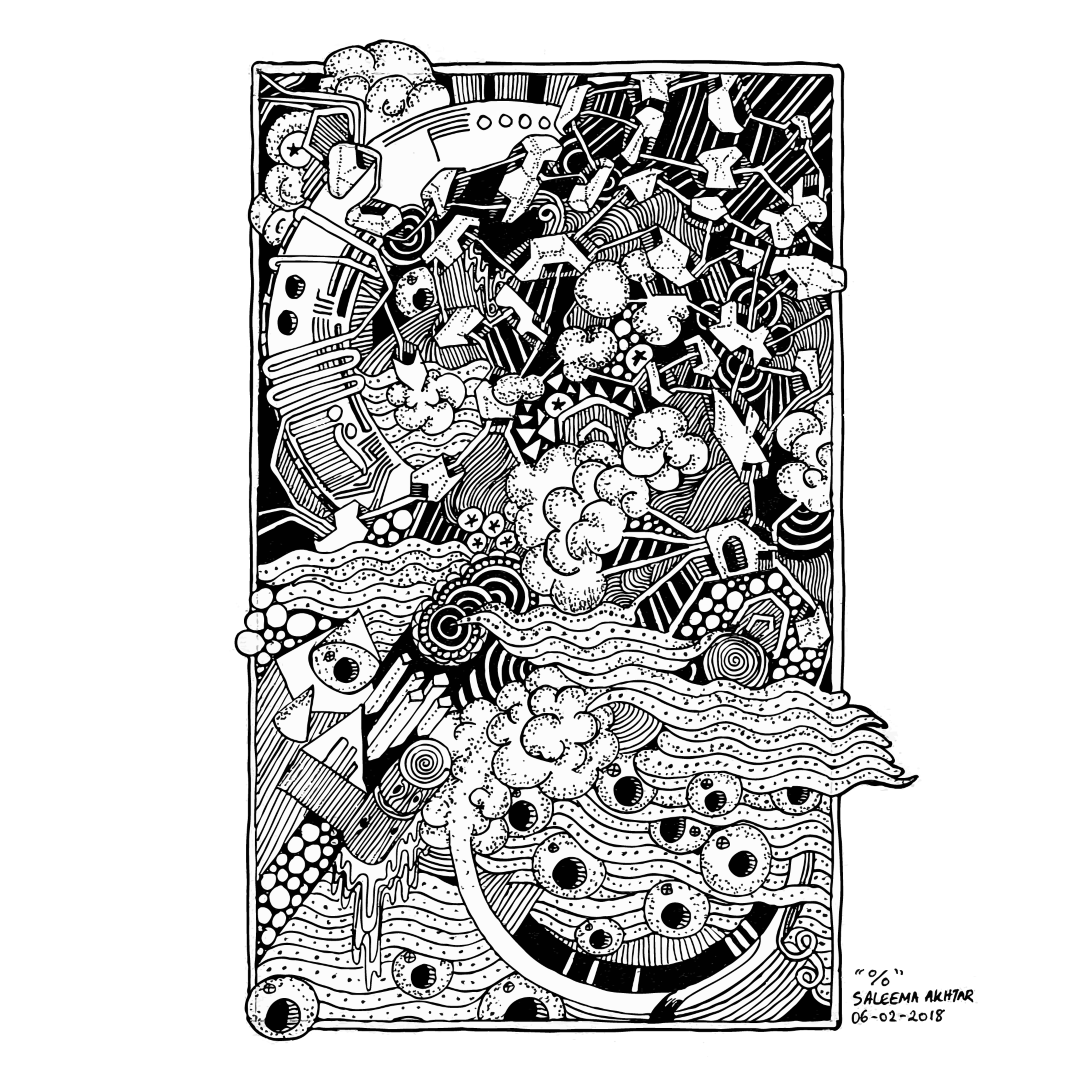 A Visual Journal by Saleema Akhtar