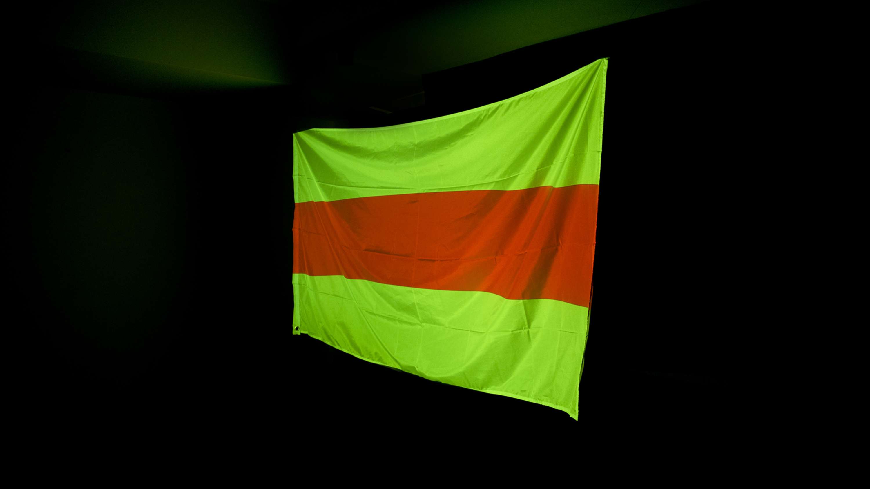Digital Flag by Angelina Panagiotopoulou