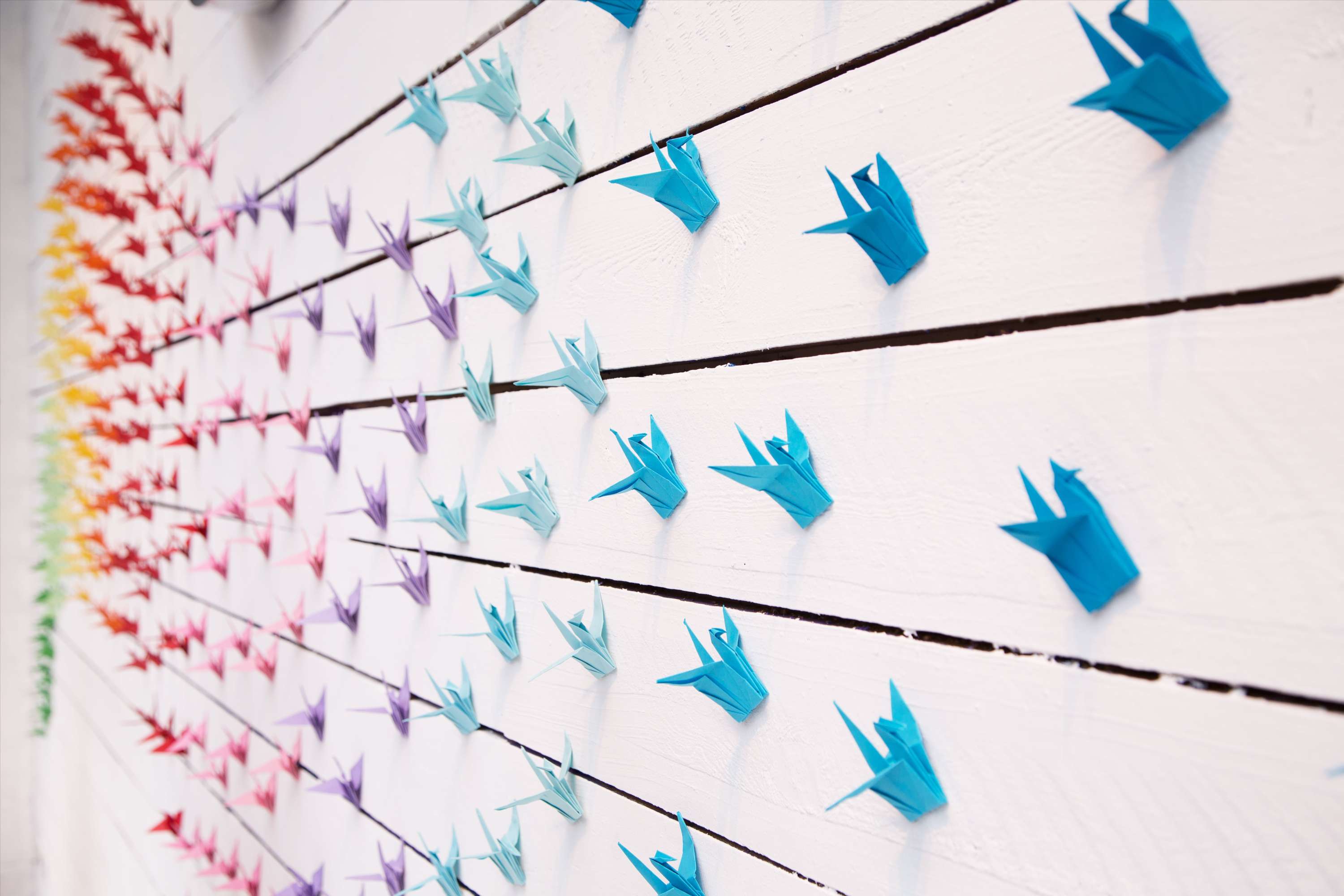 Window Design - Origami by Manuela Demuro