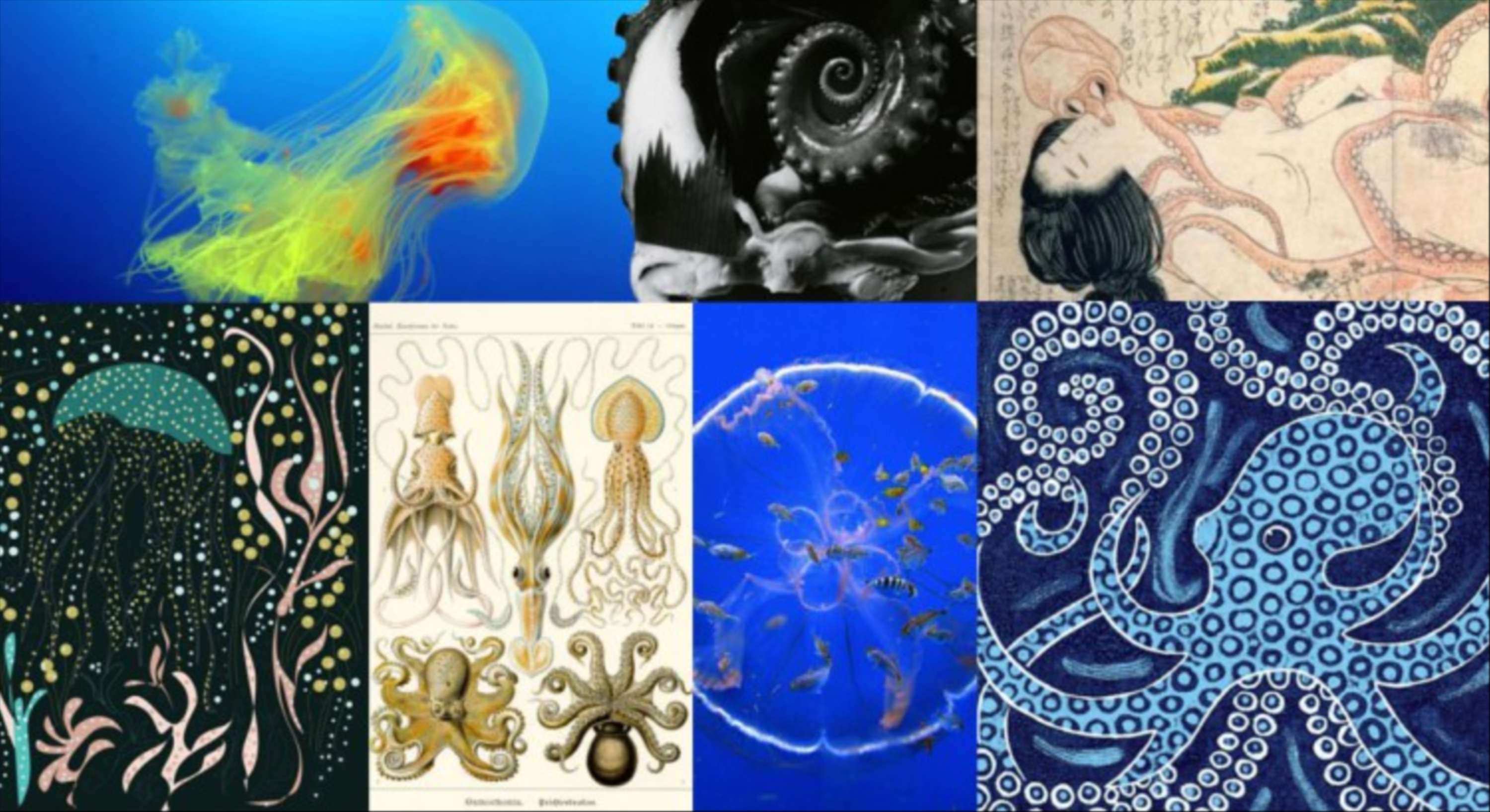 Design Trend Insights for 2018 by Bridgeman Images