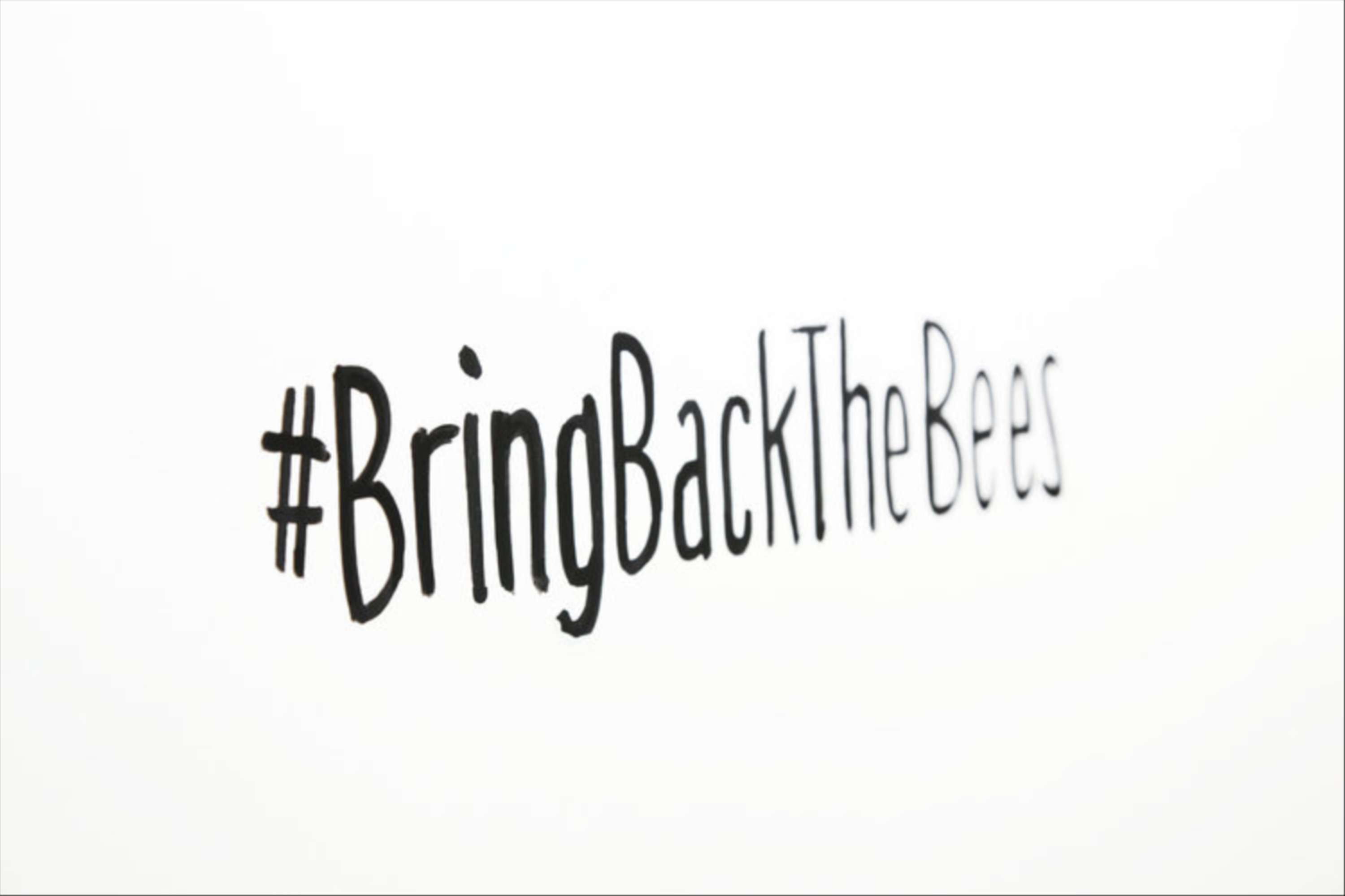 Bring Back the Bees by Drum