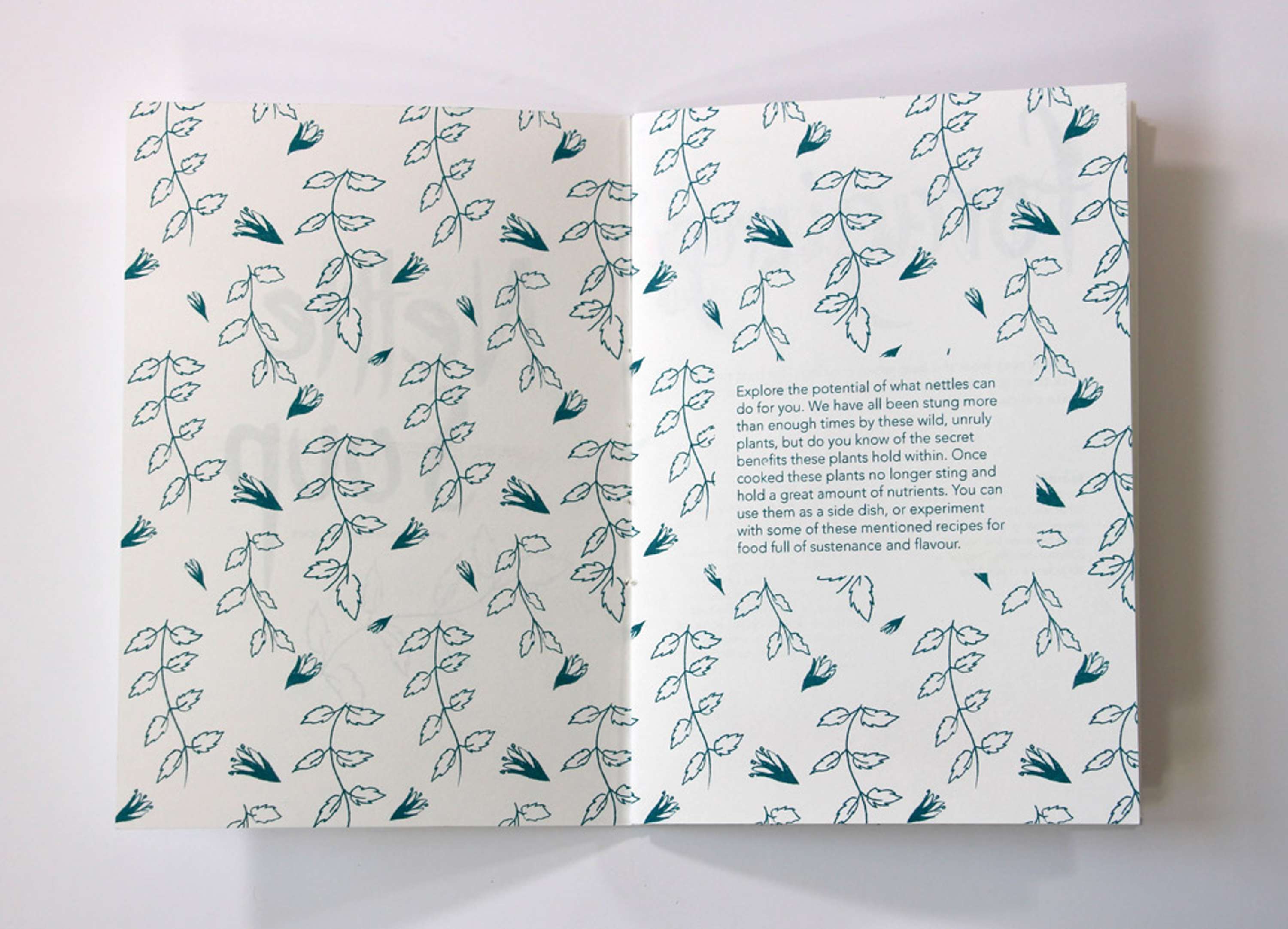 Nettle Soup by Laura Evans