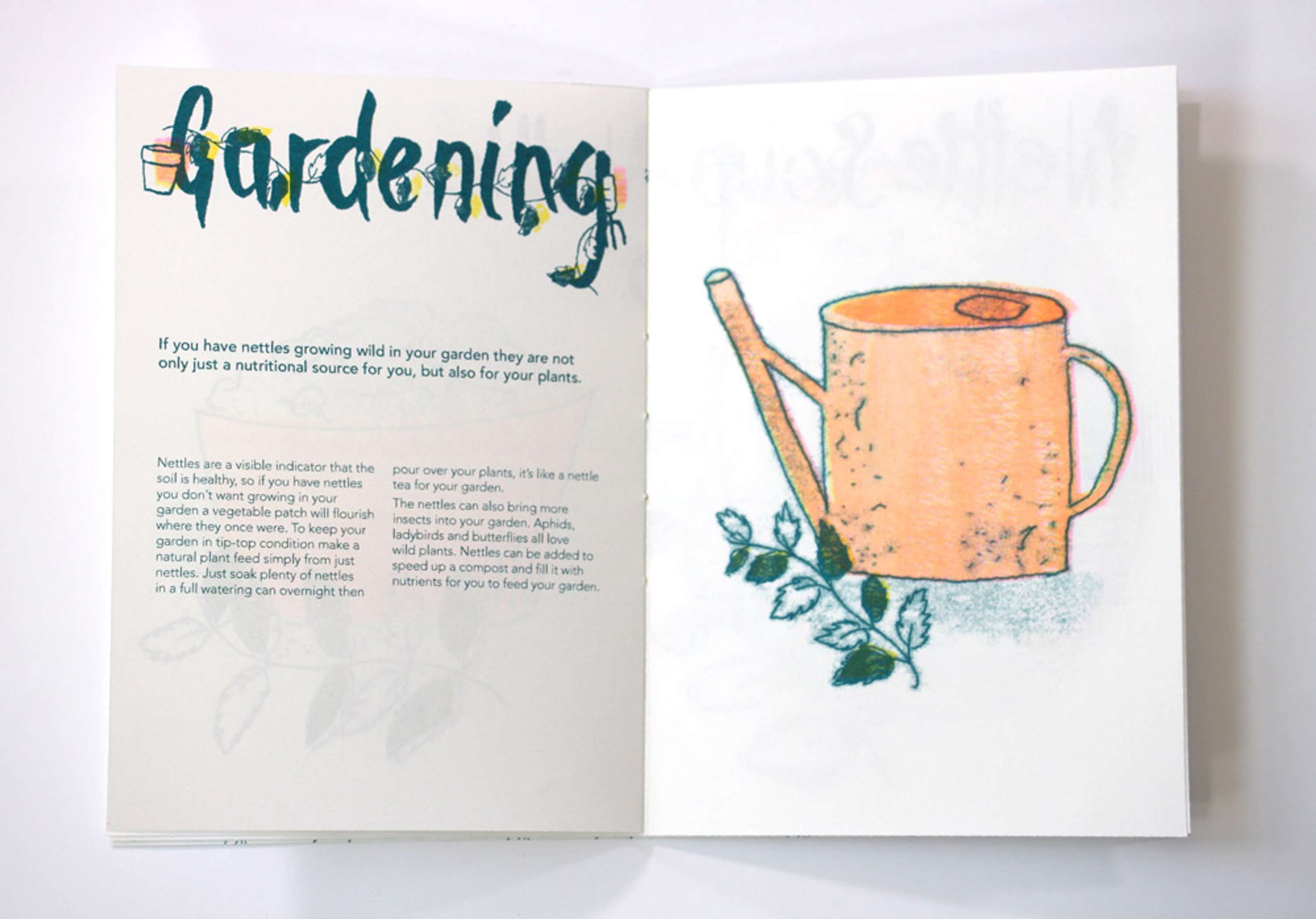 Nettle Soup by Laura Evans