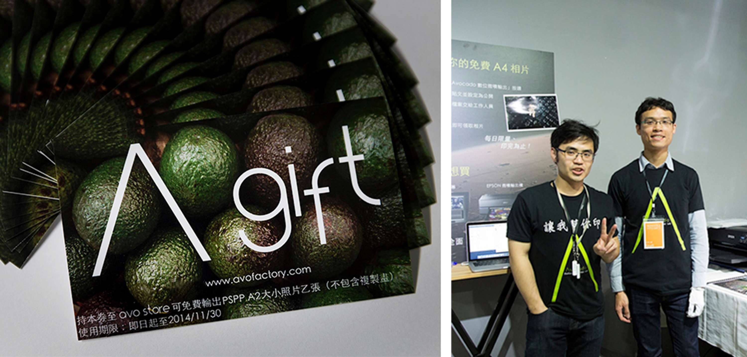 Avocado Branding by Amy Yifan Lai