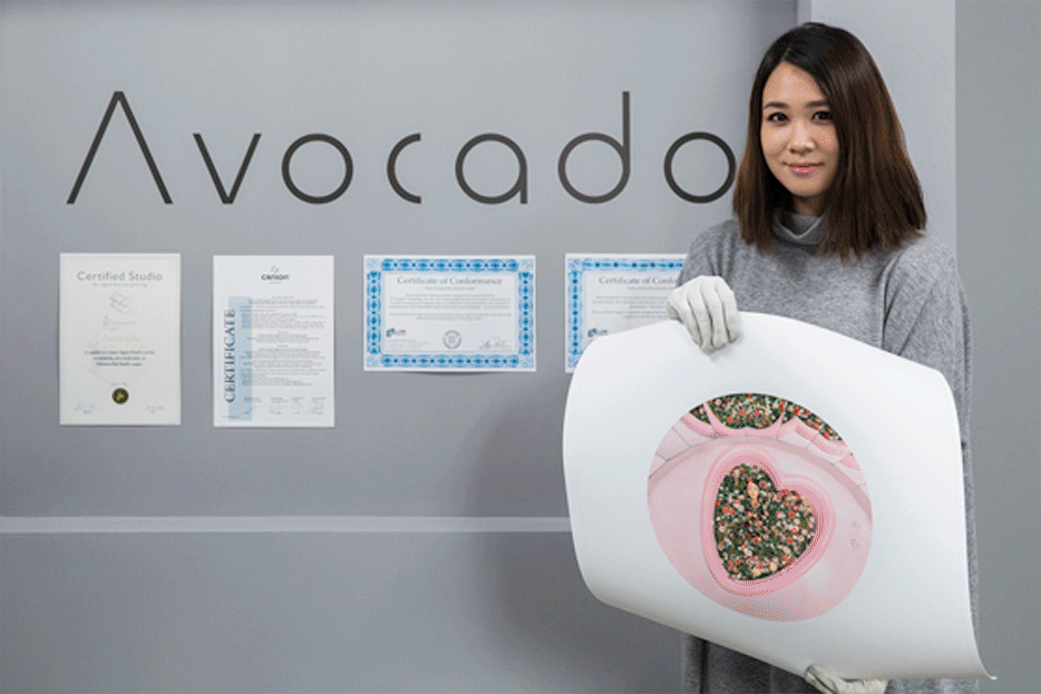 Avocado Branding by Amy Yifan Lai
