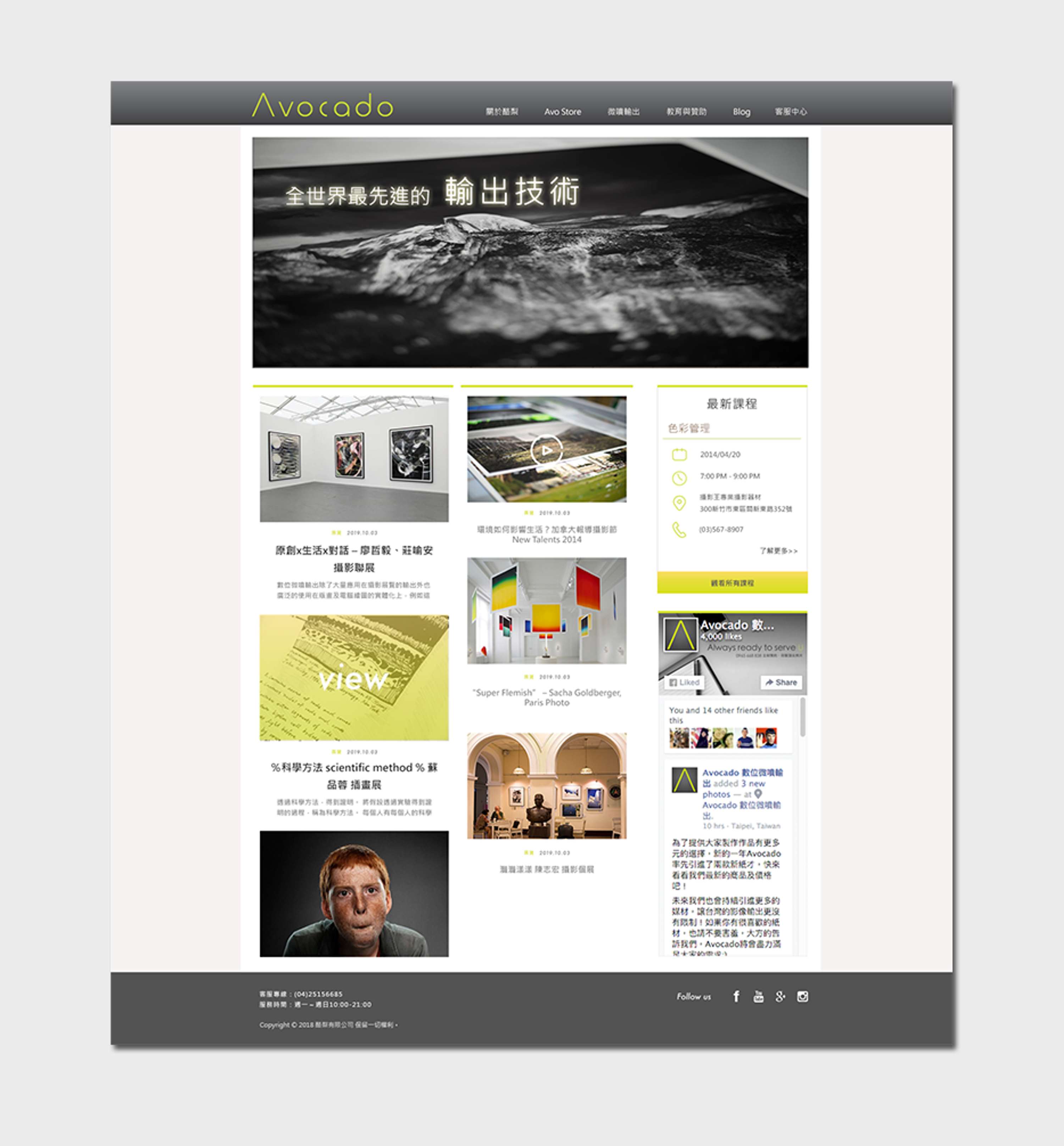 Avocado Website by Amy Yifan Lai