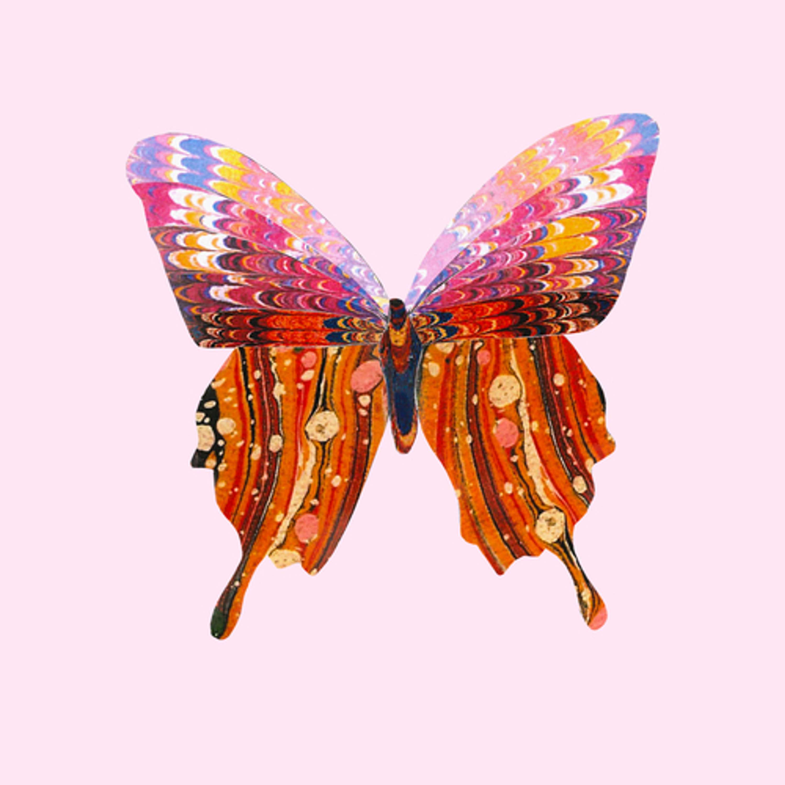 Collages by Fiona Brown-Hovelt