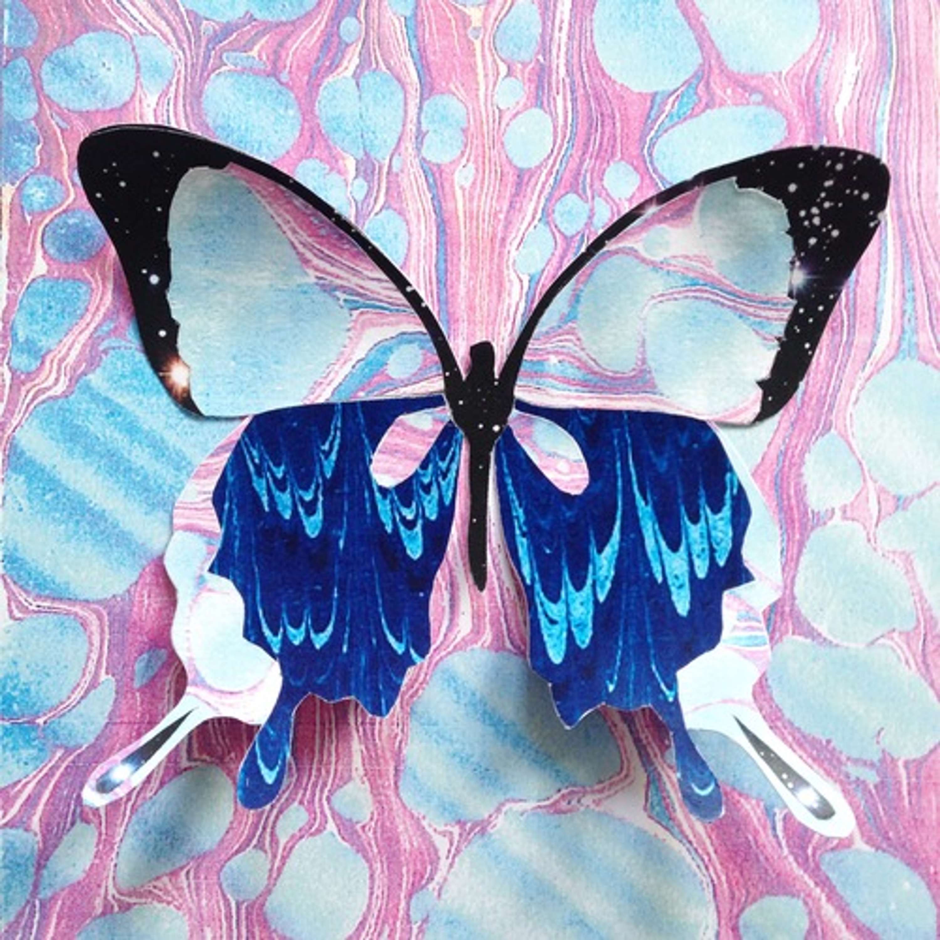 Collages by Fiona Brown-Hovelt