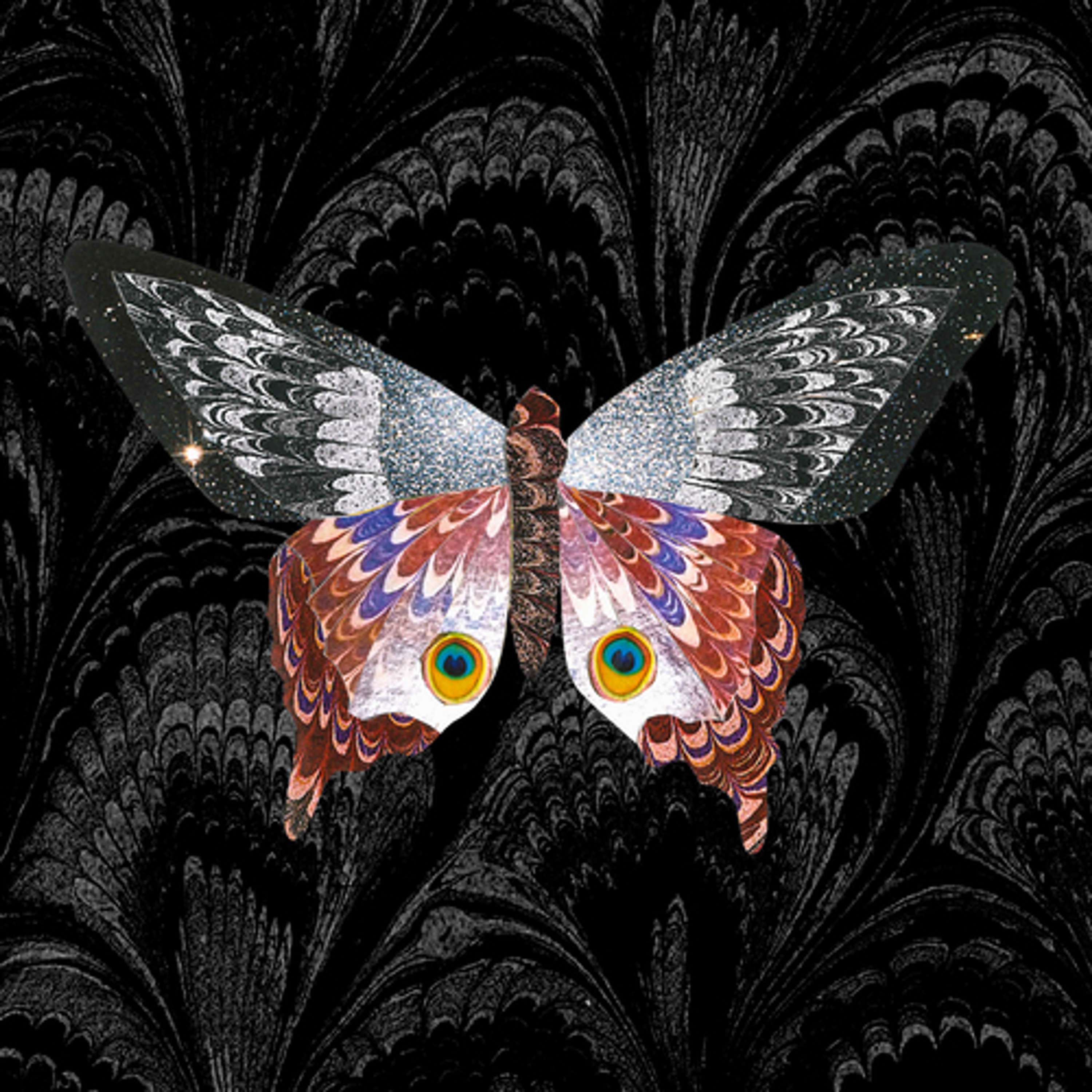 Collages by Fiona Brown-Hovelt